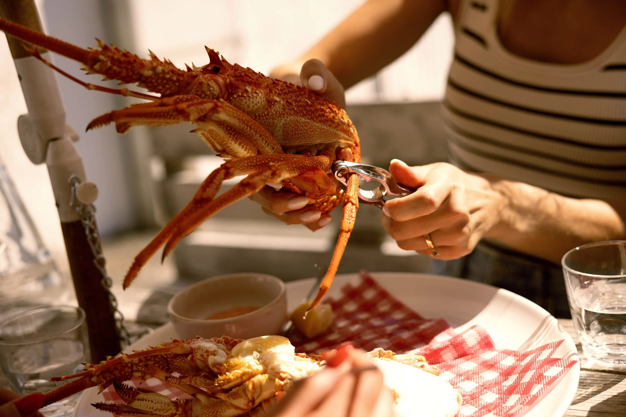 Lacepede Seafood