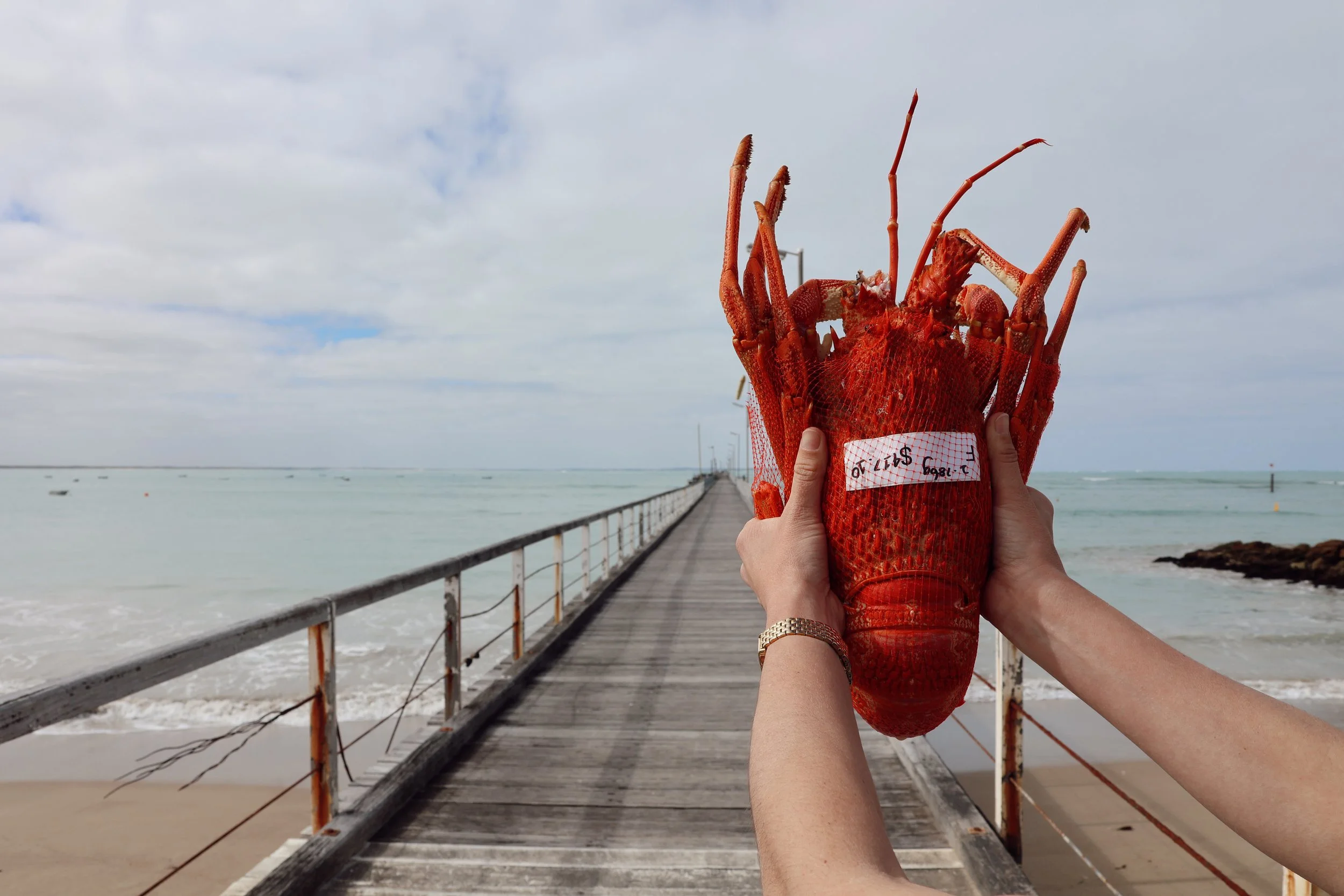 ORBE Properties The Lobster Pot7.JPG