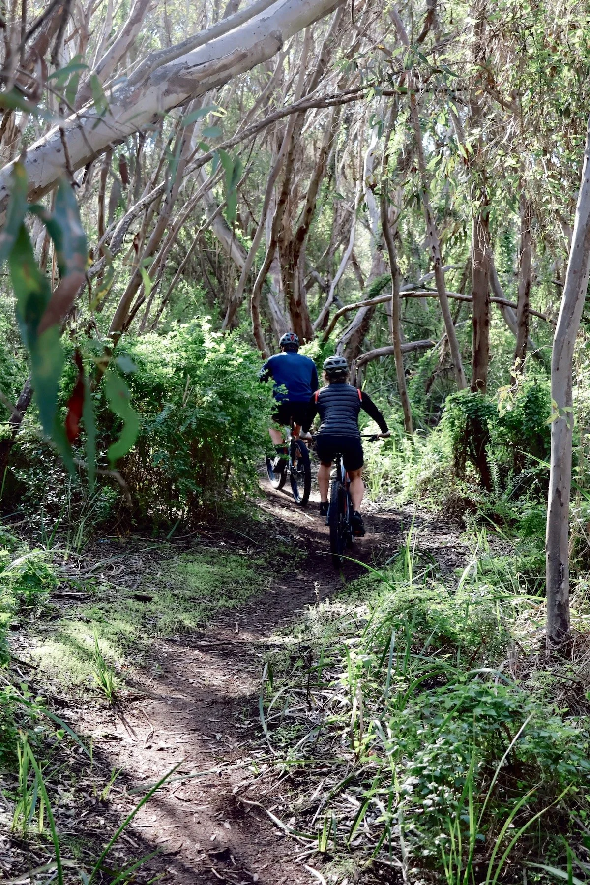 Tracx showcase's the stunning Robe scenery through a number of on and off road trails, capturing many icons perfectly. Not only is a little bit of an adventure it is also a great way to experience Robe. 