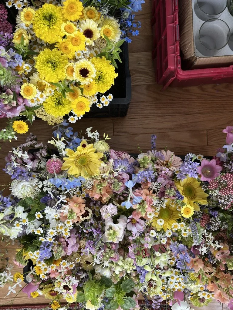 10634D37-D790-4B9E-A385-567E0A748088_1_105_c.jpeg