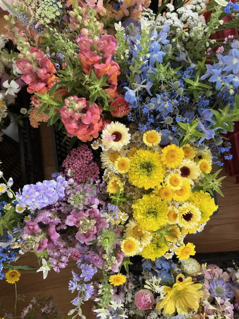 E10334EA-B274-41E1-A8D8-768F46DAE608_1_105_c.jpeg