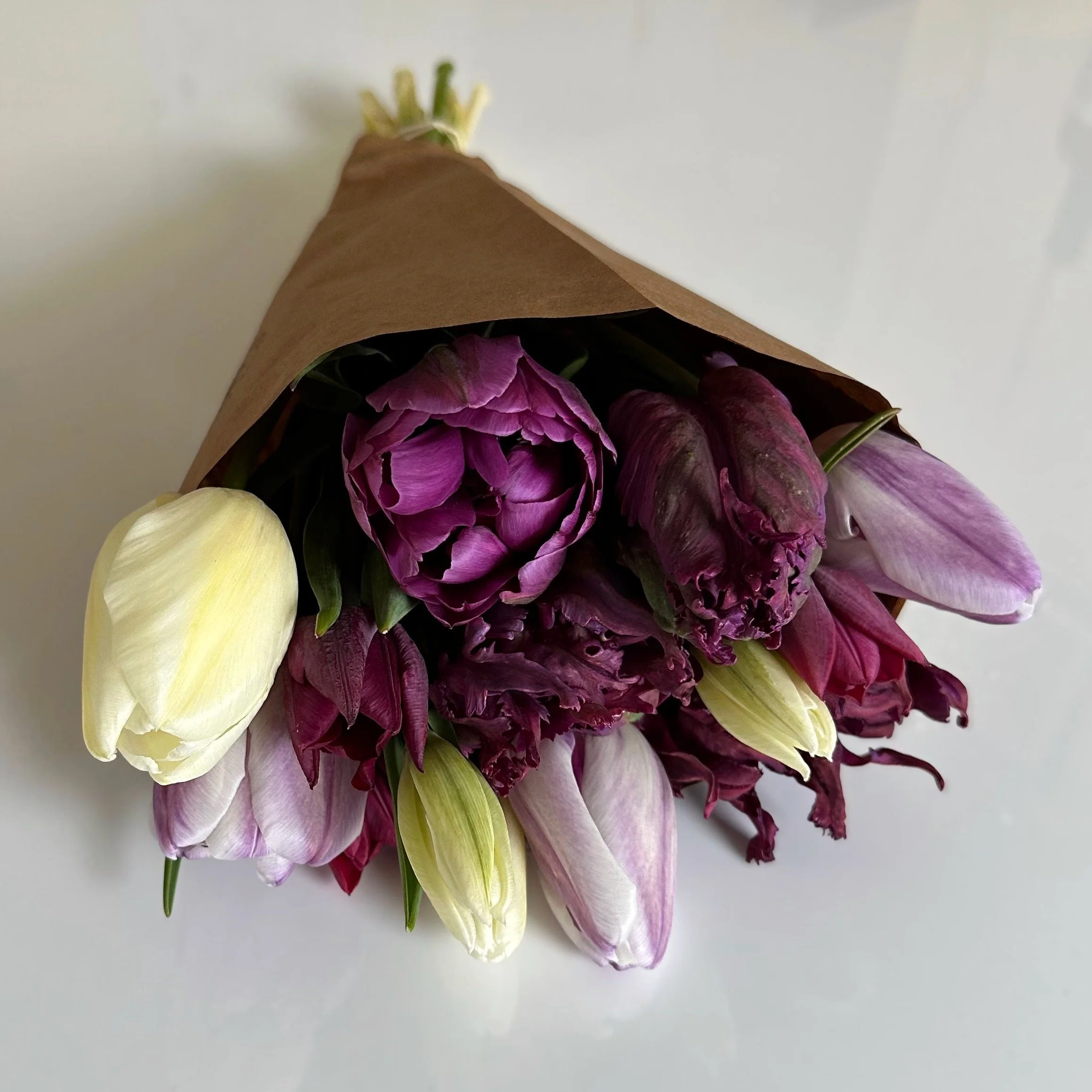 Facetune_06-05-2025-15-18-44.jpeg