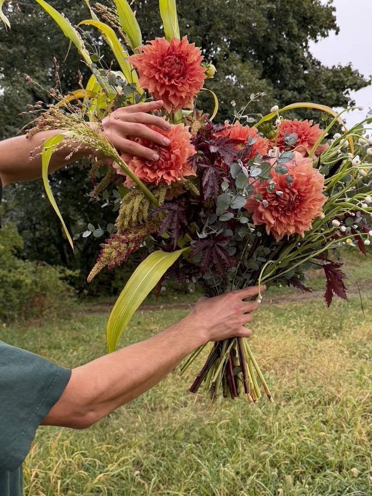 572F0286-9915-45C0-8ADA-CA36953BFEF0_1_105_c.jpeg