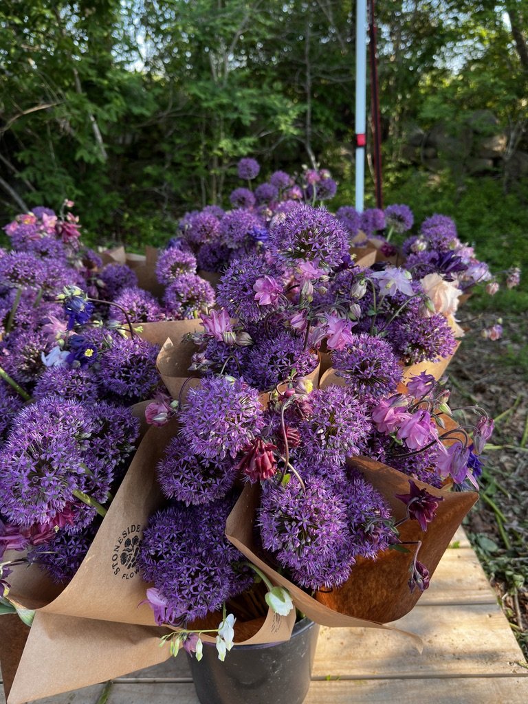 E185E06D-B4B0-4A70-A12D-A93E5D1D7206_1_105_c.jpeg