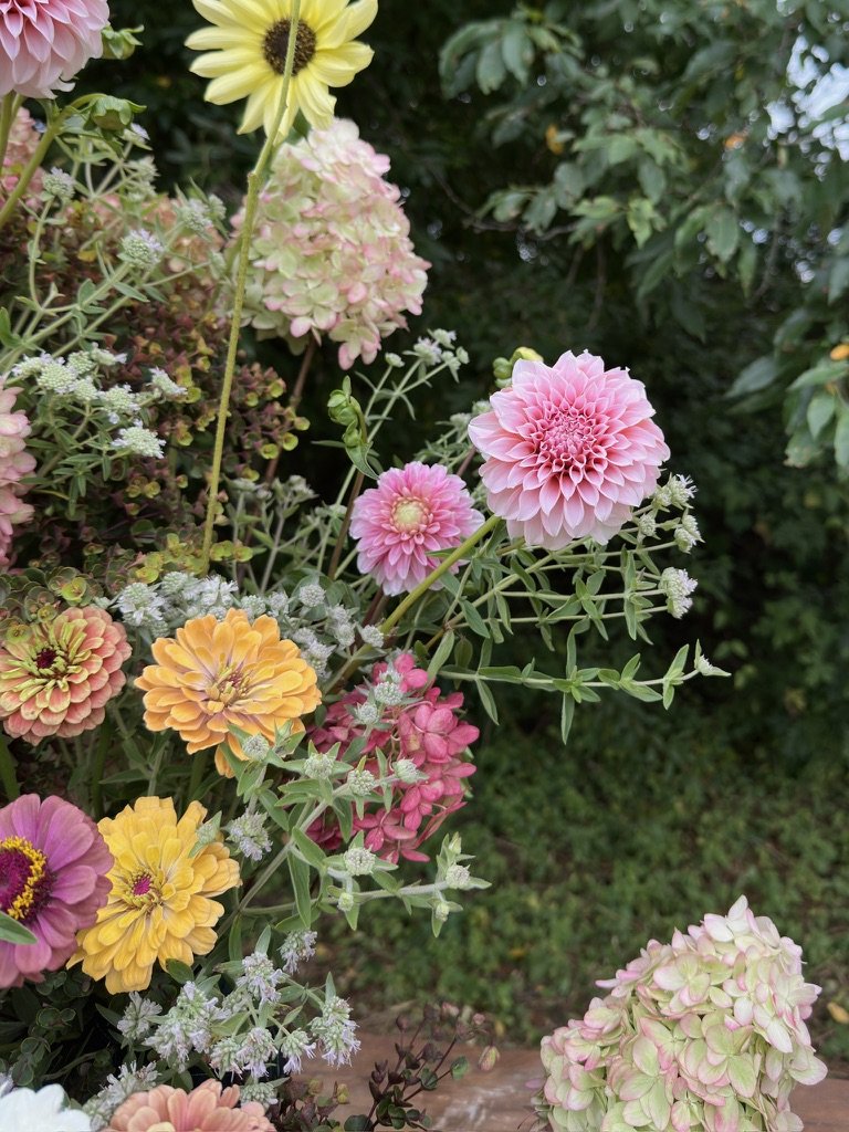 60E2696F-1230-4884-9968-3AB9EDDCC2AC_1_105_c.jpeg