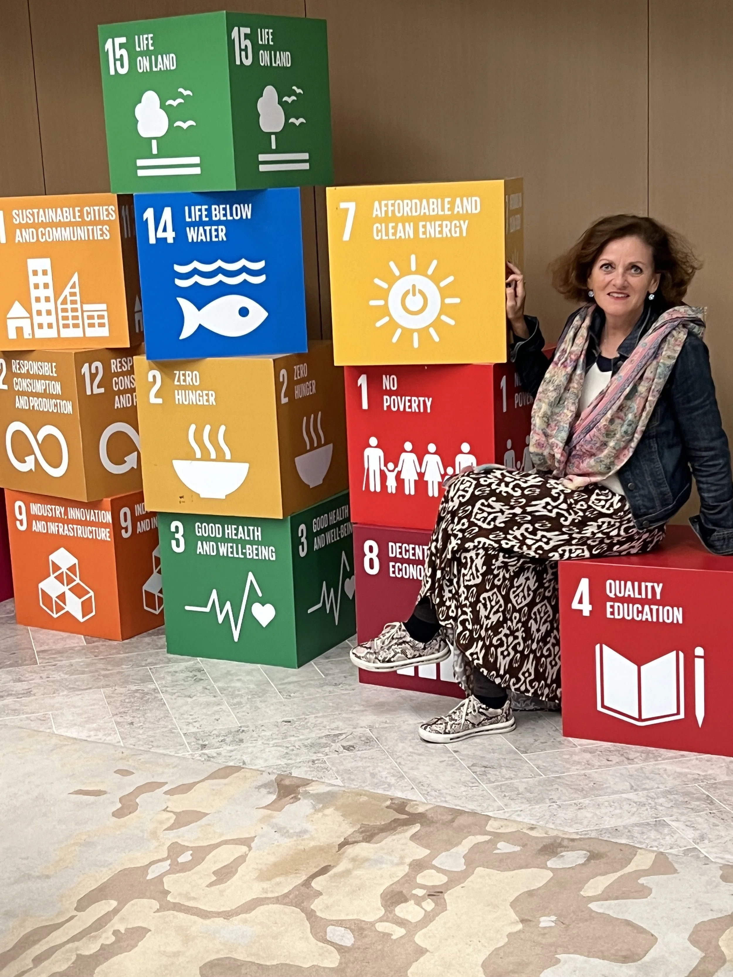 A woman sitting next to colorful blocks representing United Nations Sustainable Development Goals, including 'Life on Land,' 'Life Below Water,' 'Affordable and Clean Energy,' 'No Poverty,' 'Good Health and Well-Being,' 'Quality Education,' among others.