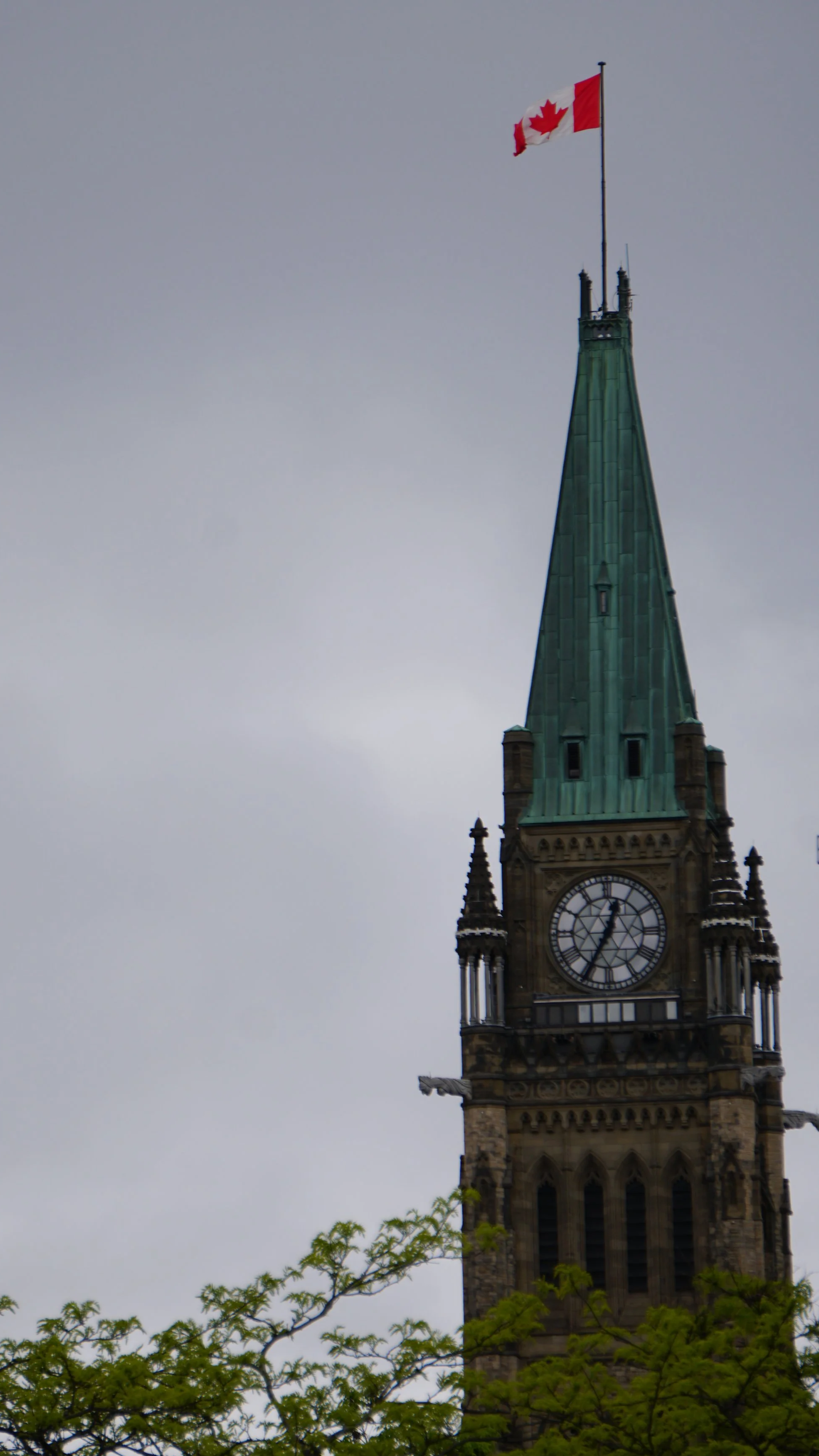 Clock tower with a green spire and a Canadian flag on top, under an overcast sky, with green foliage at the bottom.