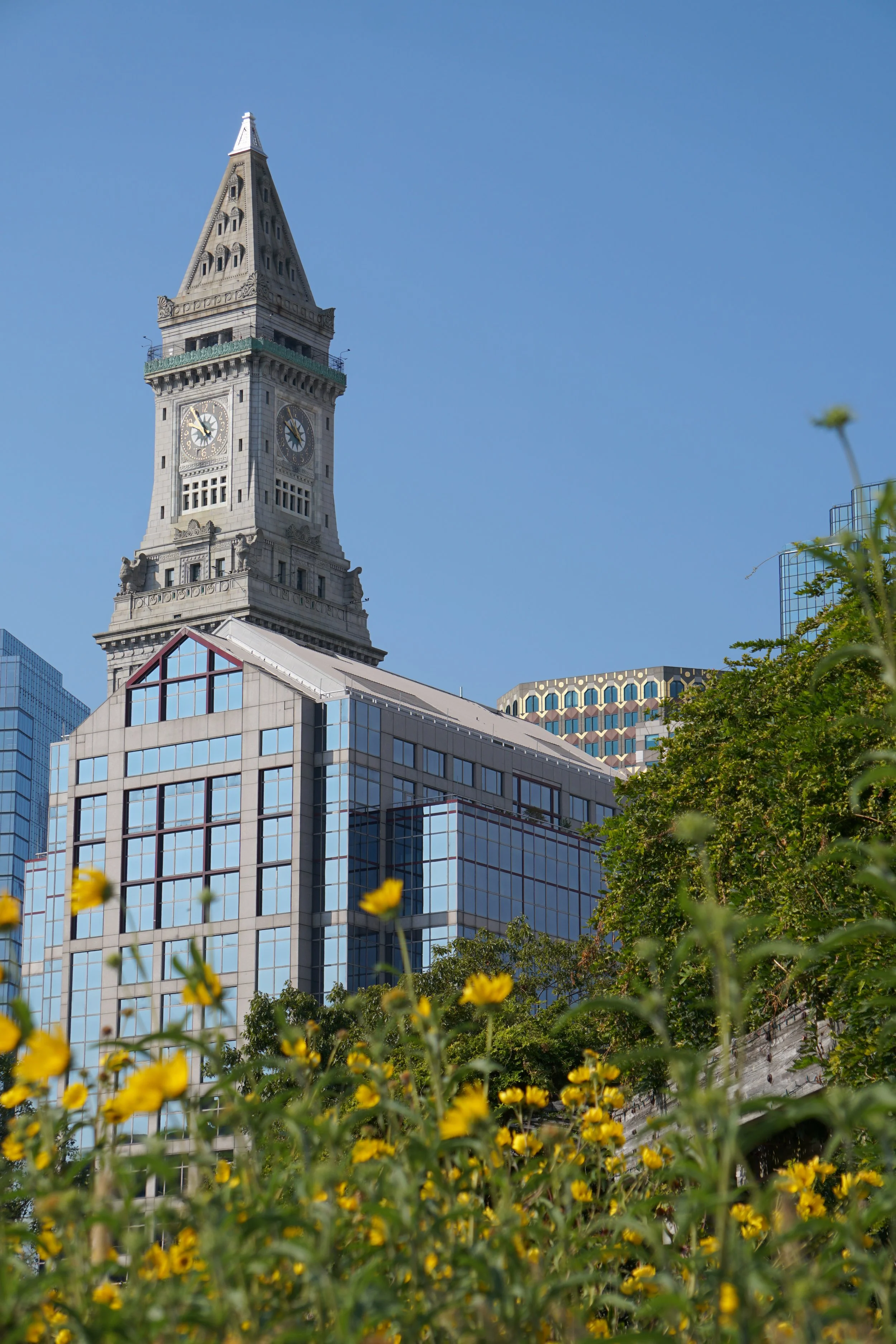 Cityscape with a historic clock tower, modern glass buildings, and yellow flowers in the foreground against a clear blue sky.