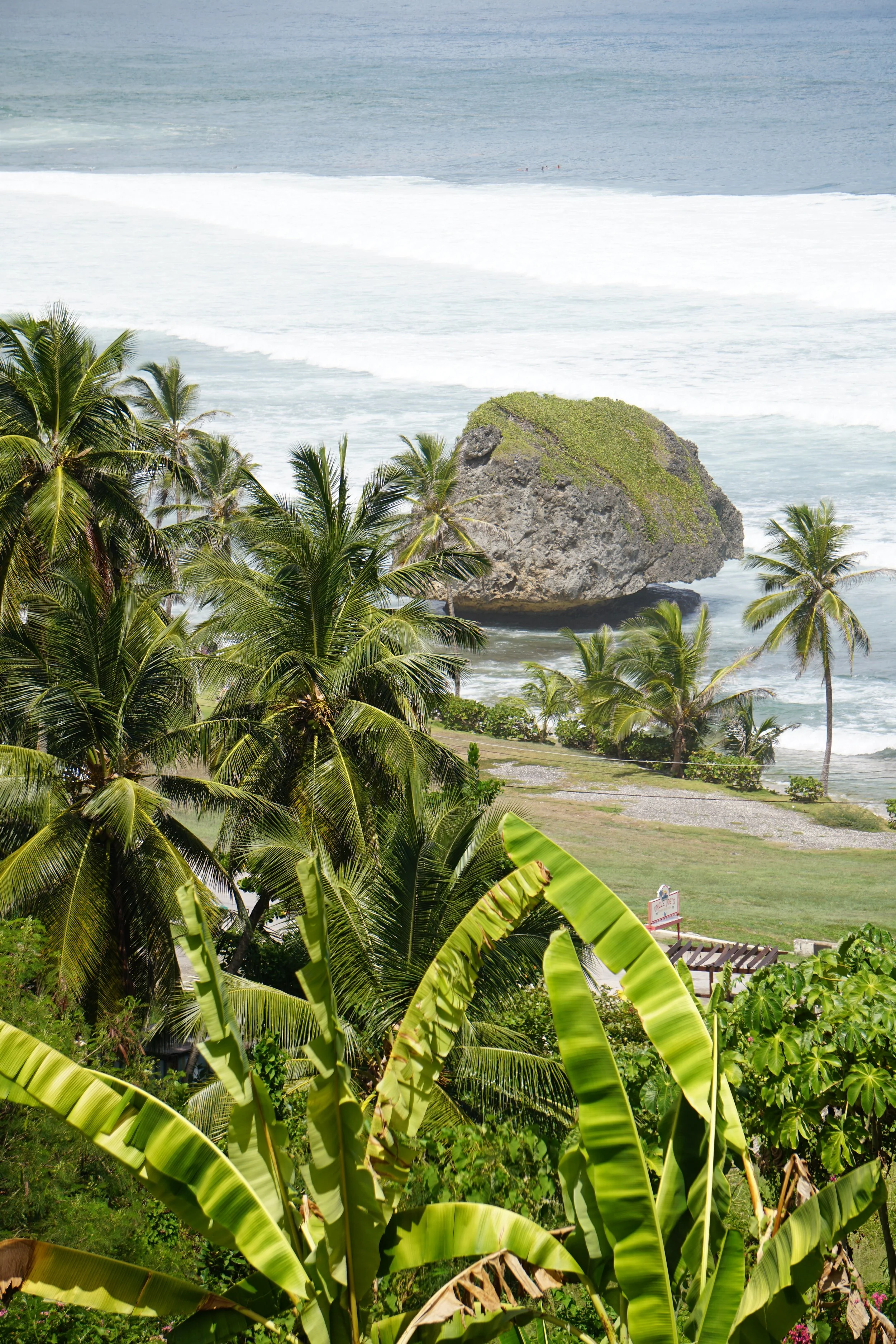 Tropical beach scene with lush green palm trees and banana plants in the foreground, large rock formation on the shoreline, and ocean waves in the background.