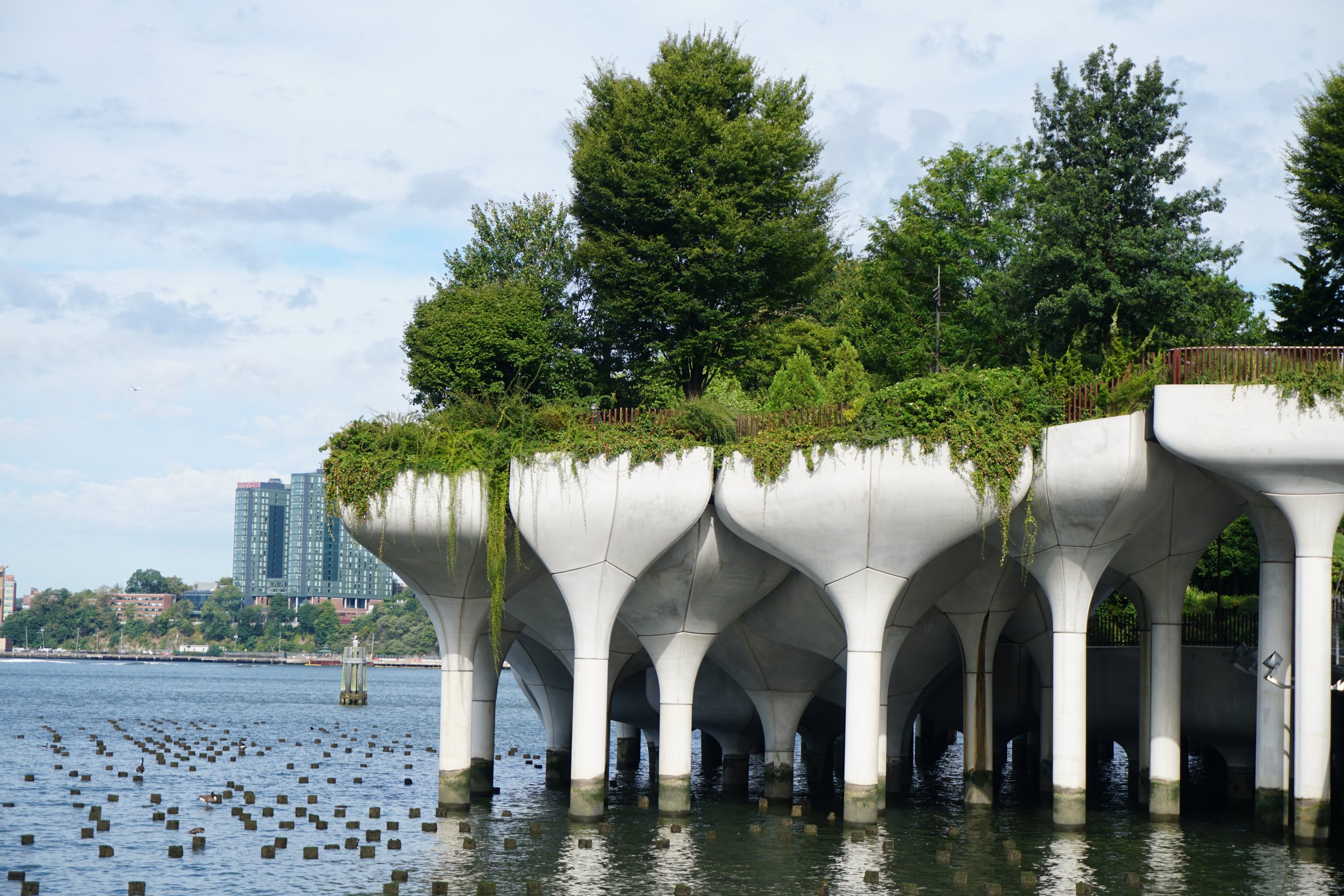 Modern structure with white supports over water, topped with greenery and trees, with a city skyline in the background.