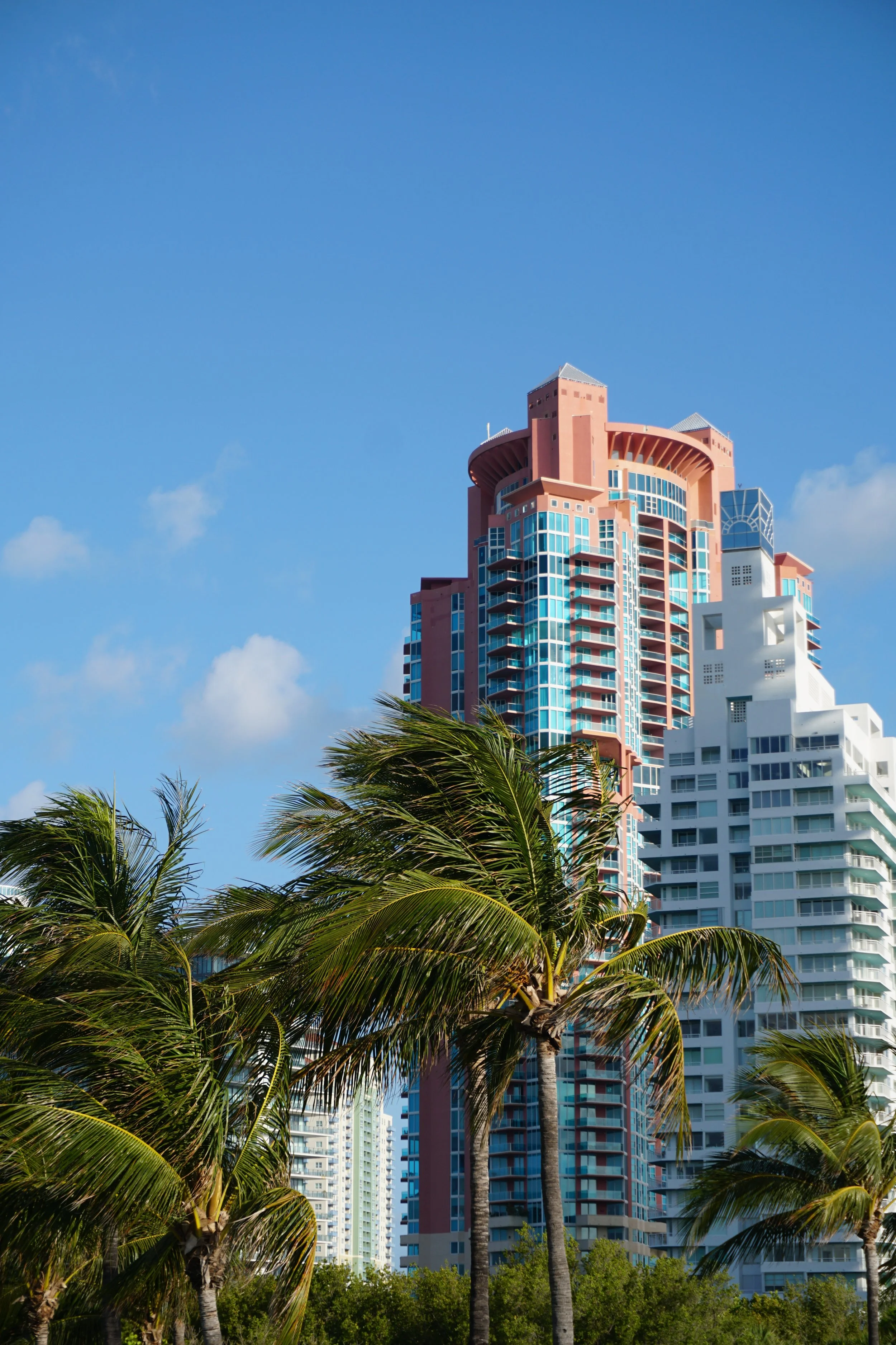 Skyscraper in Miami with palm trees in foreground, blue sky with a few clouds.