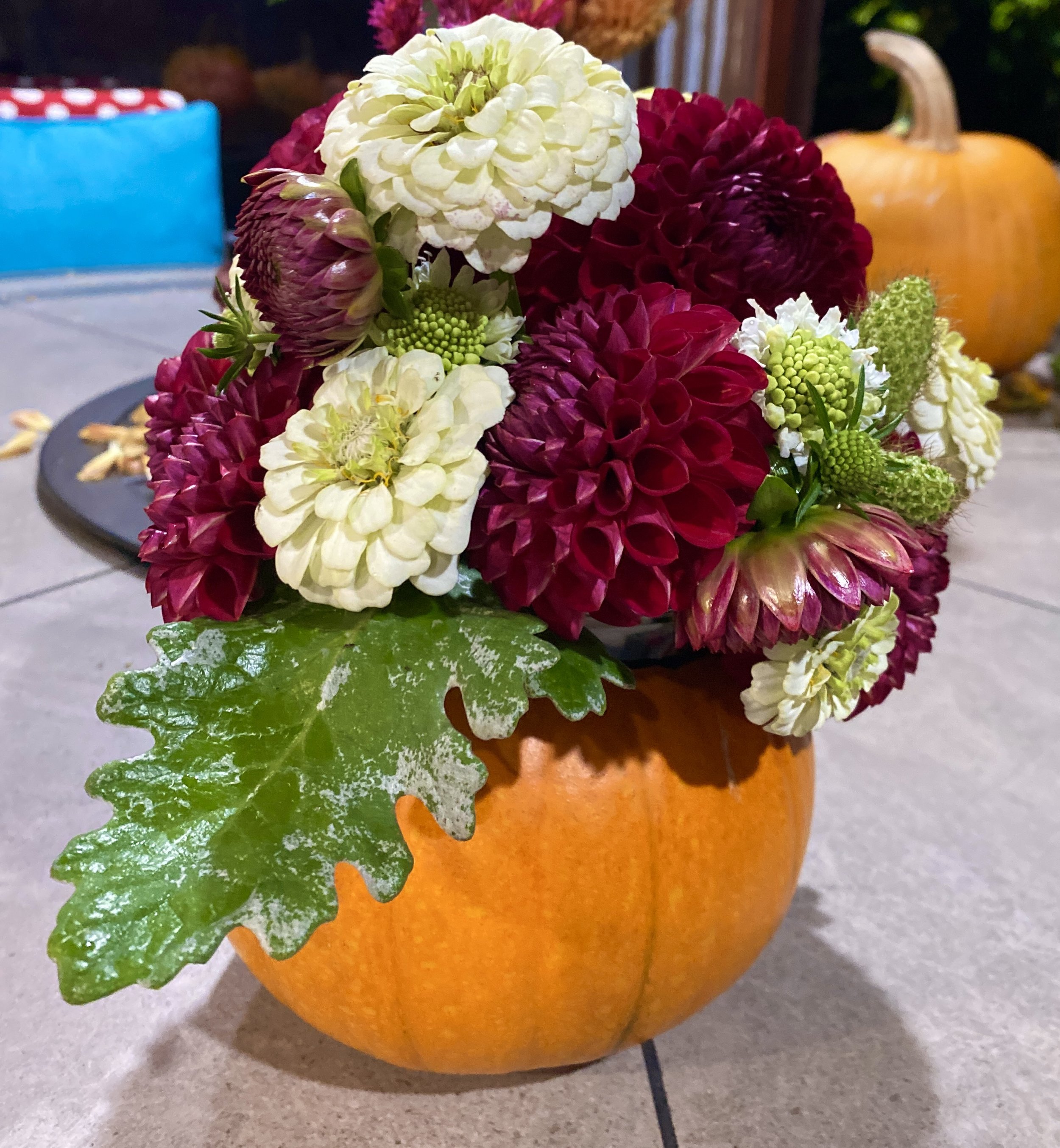 Pumpkin Bouquets with Dahlias &Zinnias in the Fall