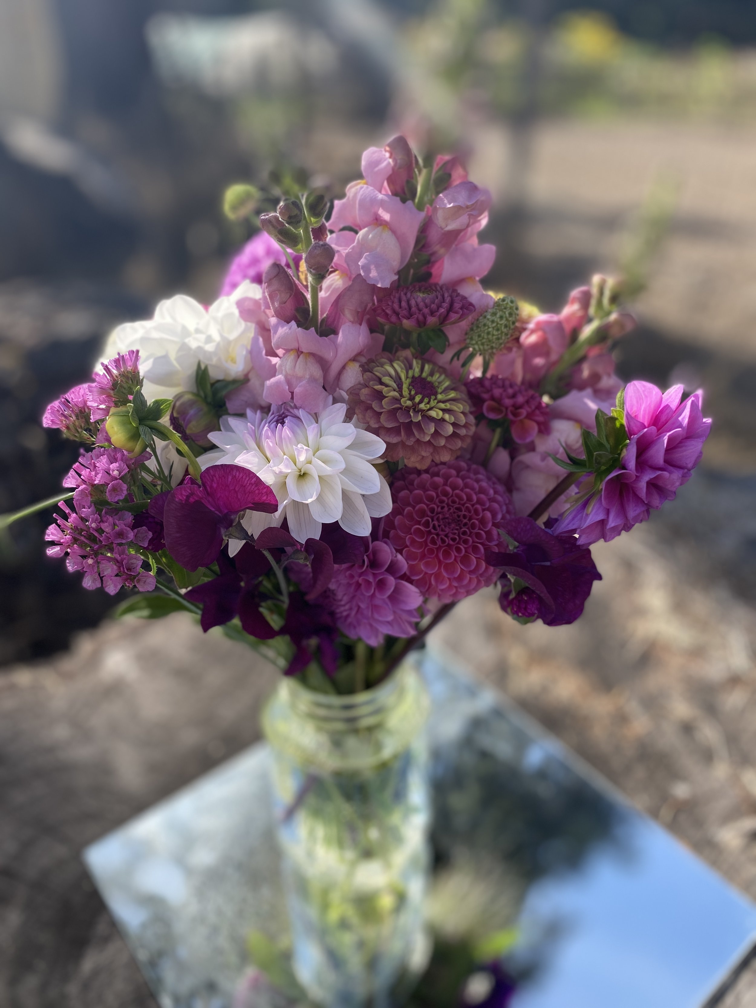 Dahlias/Snapdragons/Zinnias