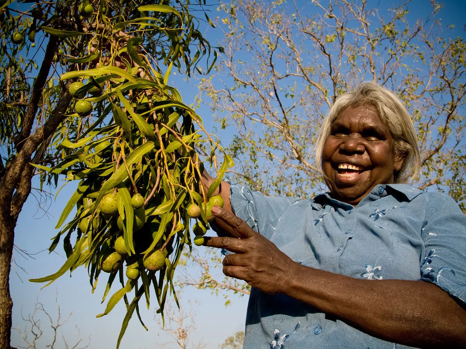 Annie-collecting-Bush-Oranges.-Nganybal.-Jarlmadangah.Kimberley.-WAd100907979.webp