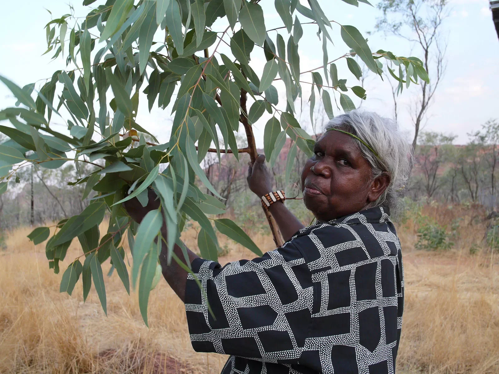 annie-collecting-gum-leaves-for-smoking-.webp