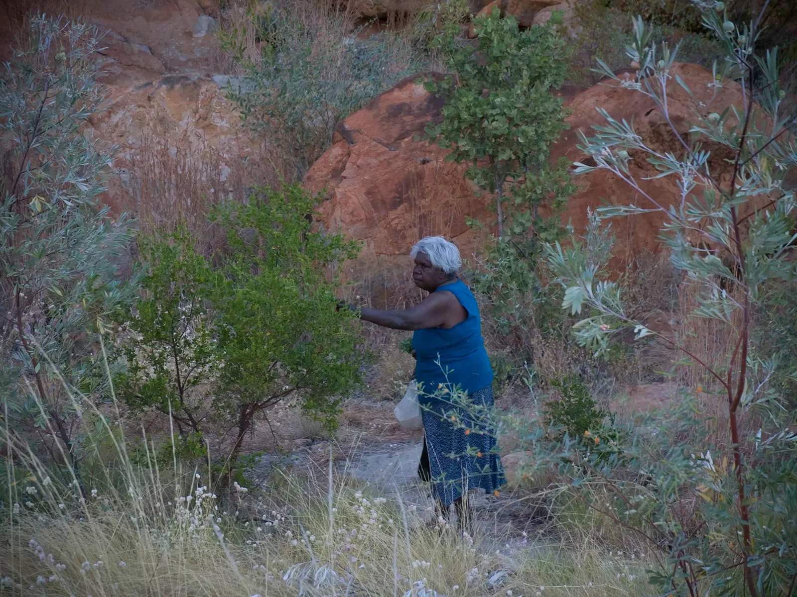 Annie-collecting-plantsa0725092615-copy.webp