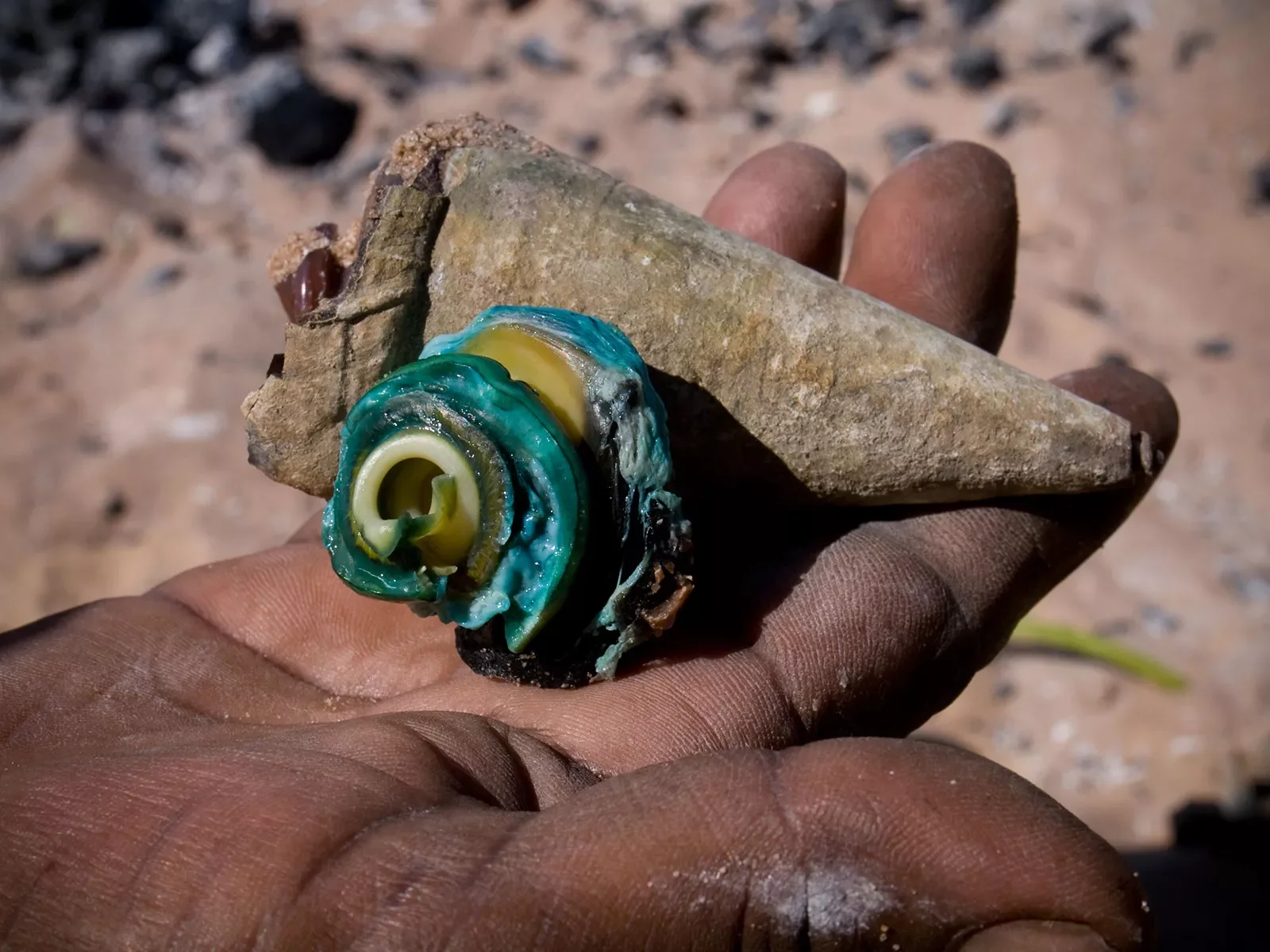 Claire-collecting-longbum-shells-.-Maningrida-b0512081543.webp