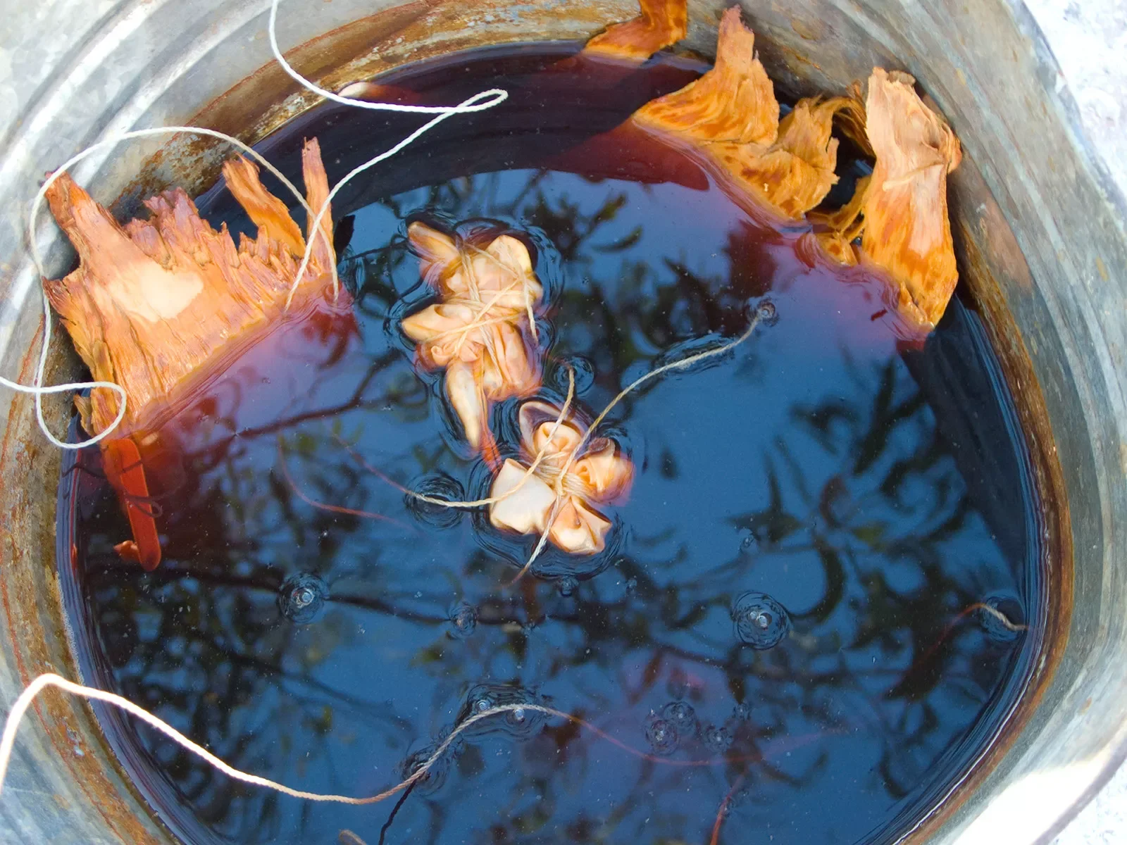 Experimenting-with-leaves-and-bark-part-of-dying-project-at-Jarlmadangah.-Kimberley.-WAc1010071105.webp