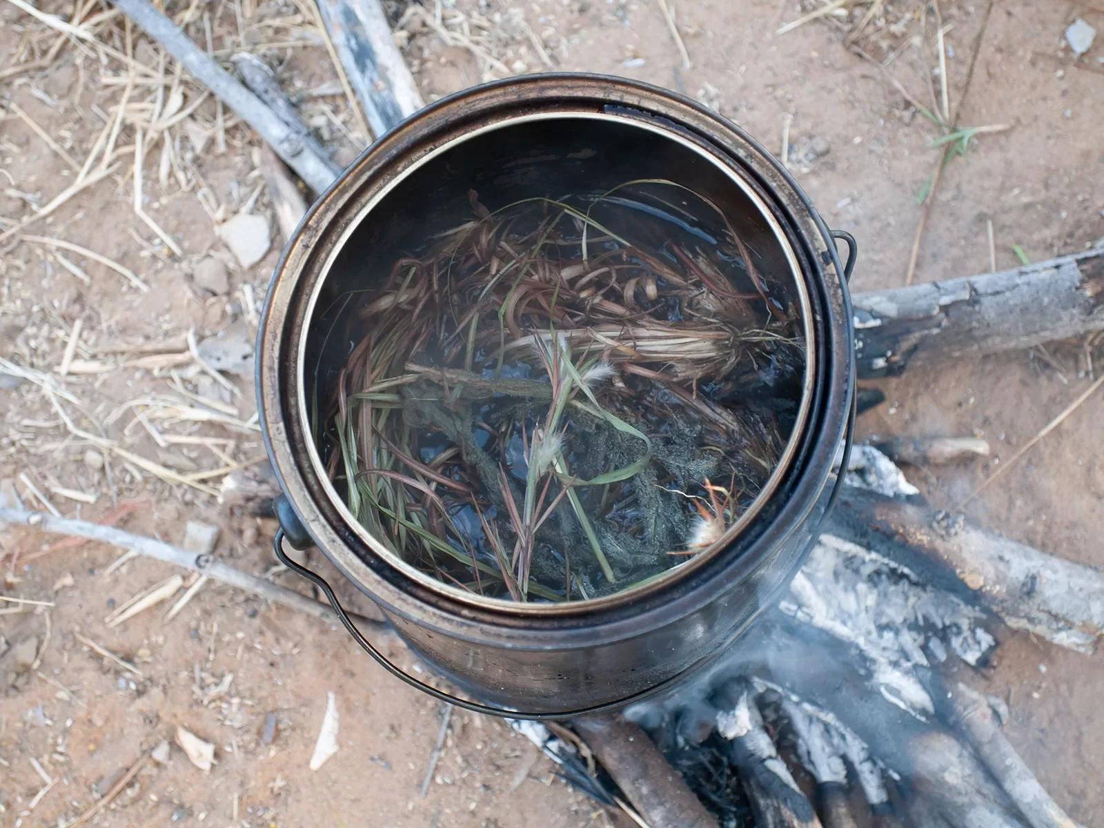 Lemongrass-boiled-on-open-fire-liquid-used-for-medicinal-purposes-32007-05-192007-05-192Cynthias-class-Jilkminggan-school-NT-19.webp