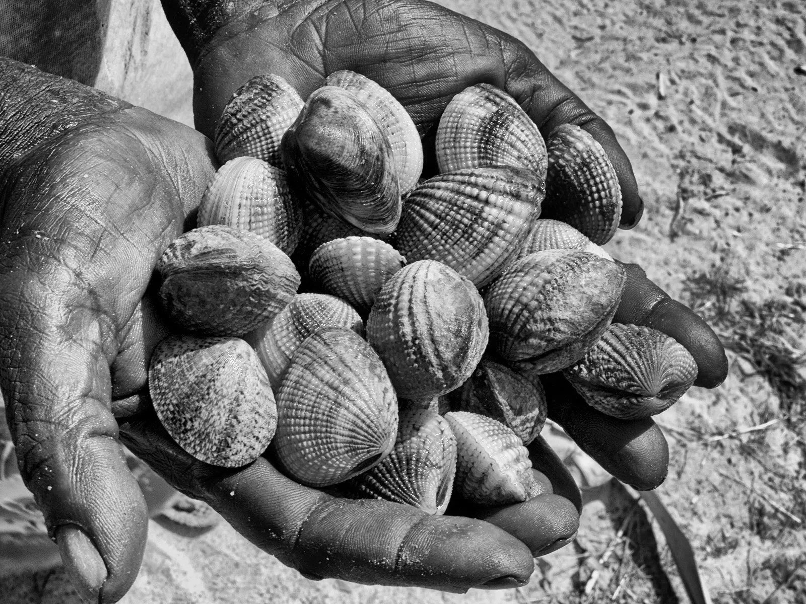 Maningrida_11a_1011071172_BW.webp