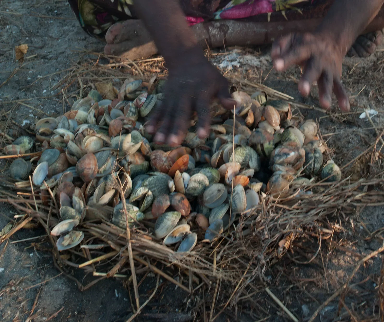 Maningrida_11b_L1220631_rgb.webp
