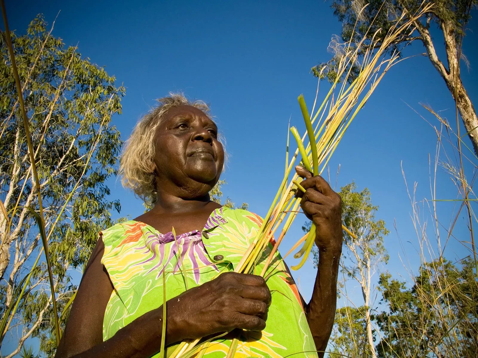 Margaret-Katherine-holding-native-sugar-cane.-Barunga.-a0207081358-copy.webp