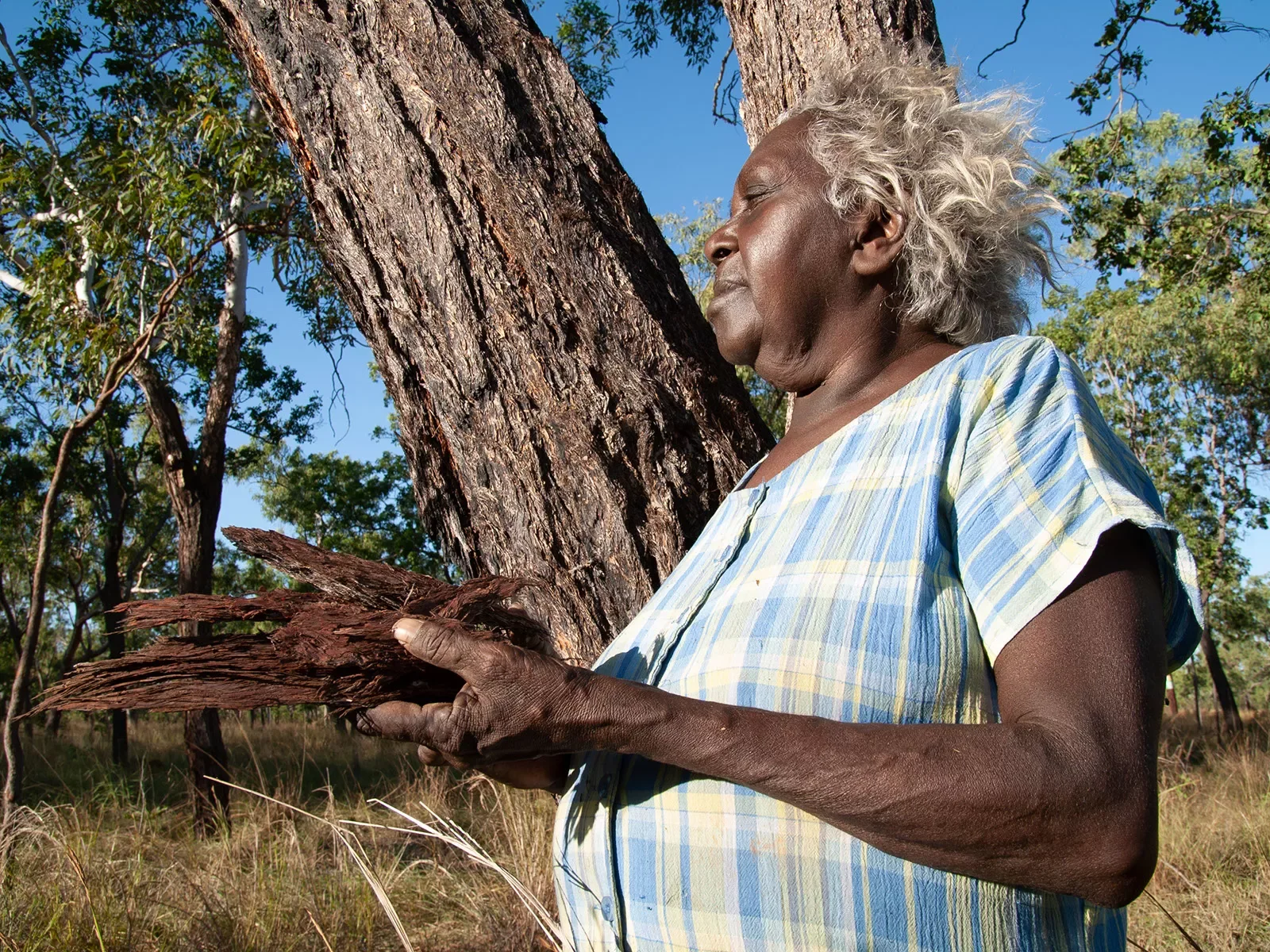 Margaret-Katherine-with-medicinal-bark-232007-05-082007-05-0822David-Barunga-NT-23.webp