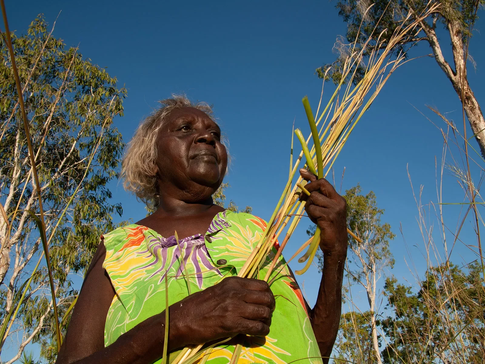 Margaret-Katherine-with-native-sugar-cane-Barunga-NT-112007-04-292007-04-29158L1000888.webp