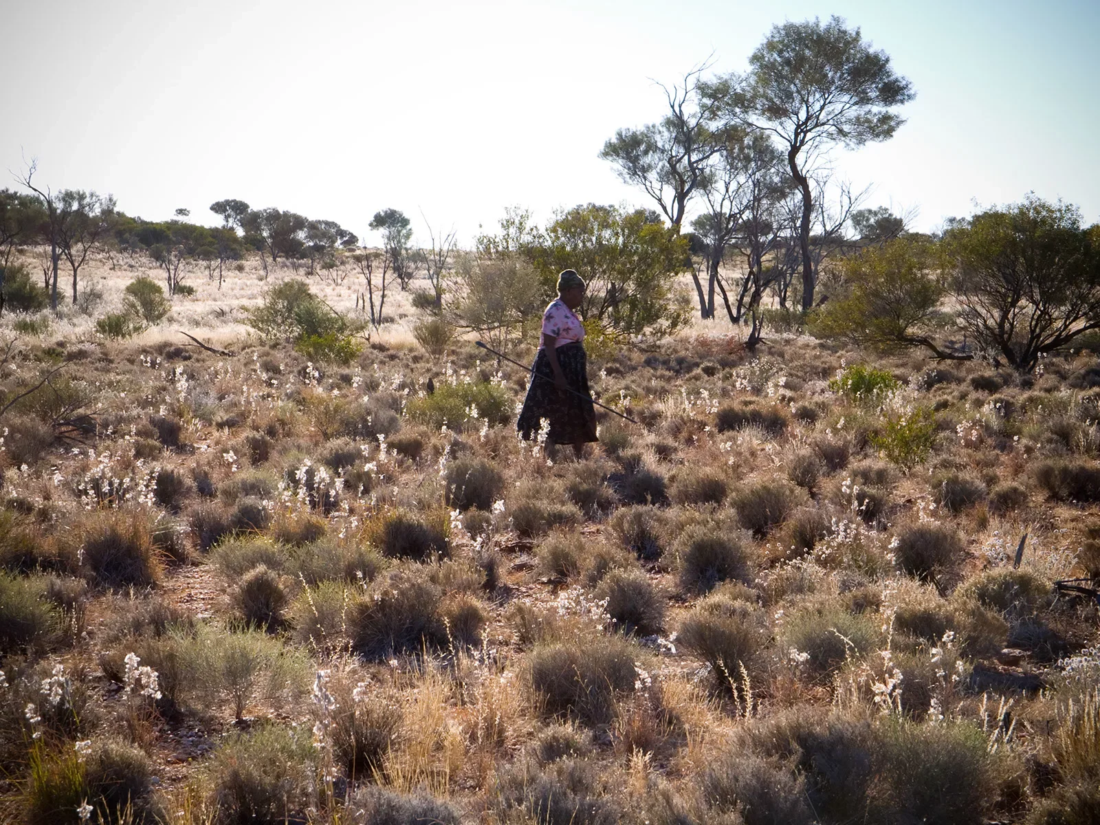 Nora-Holland-digging-witchetty-Gruba0507081451.webp