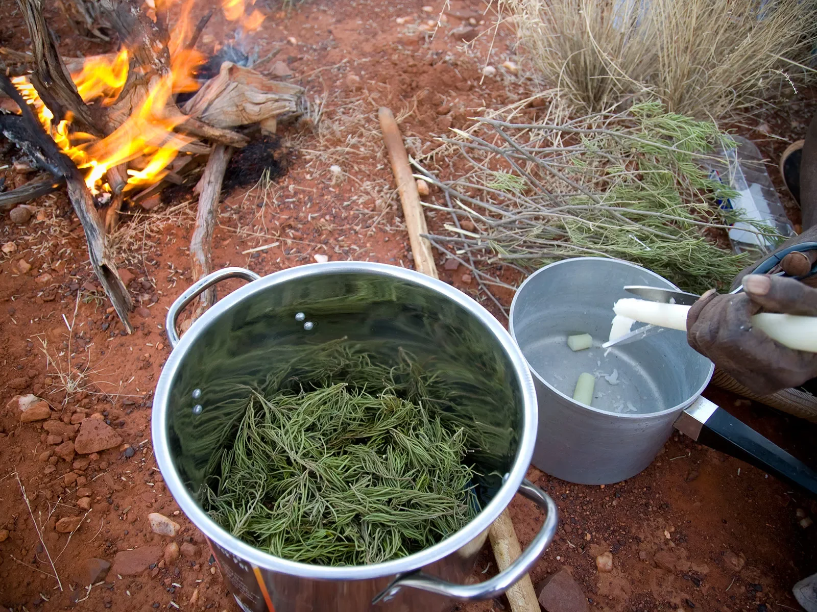 preparing-wax-for-Yirmangka-Yirmangkaa0507081471.webp