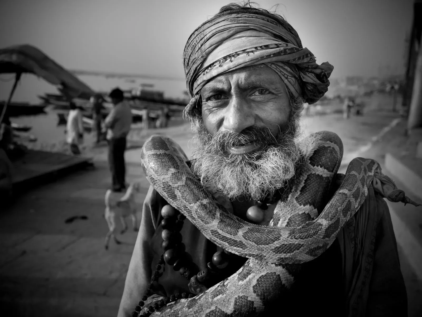 2_serpents_1.webp