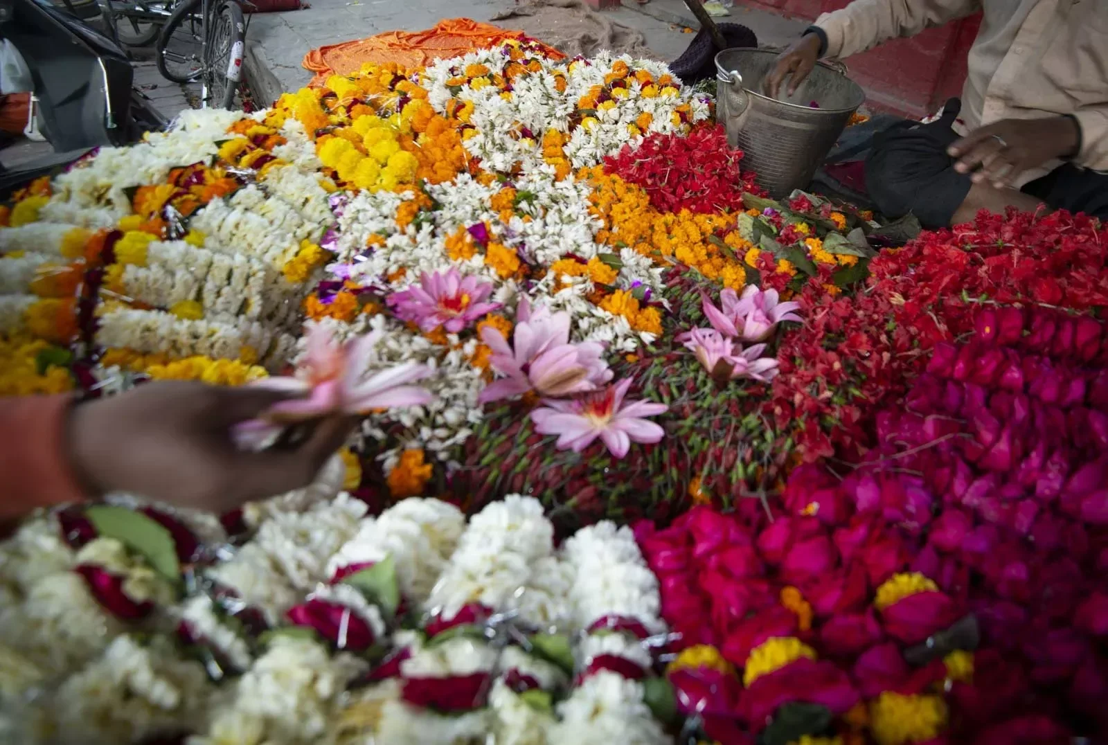 DSC_0239 offerings.webp