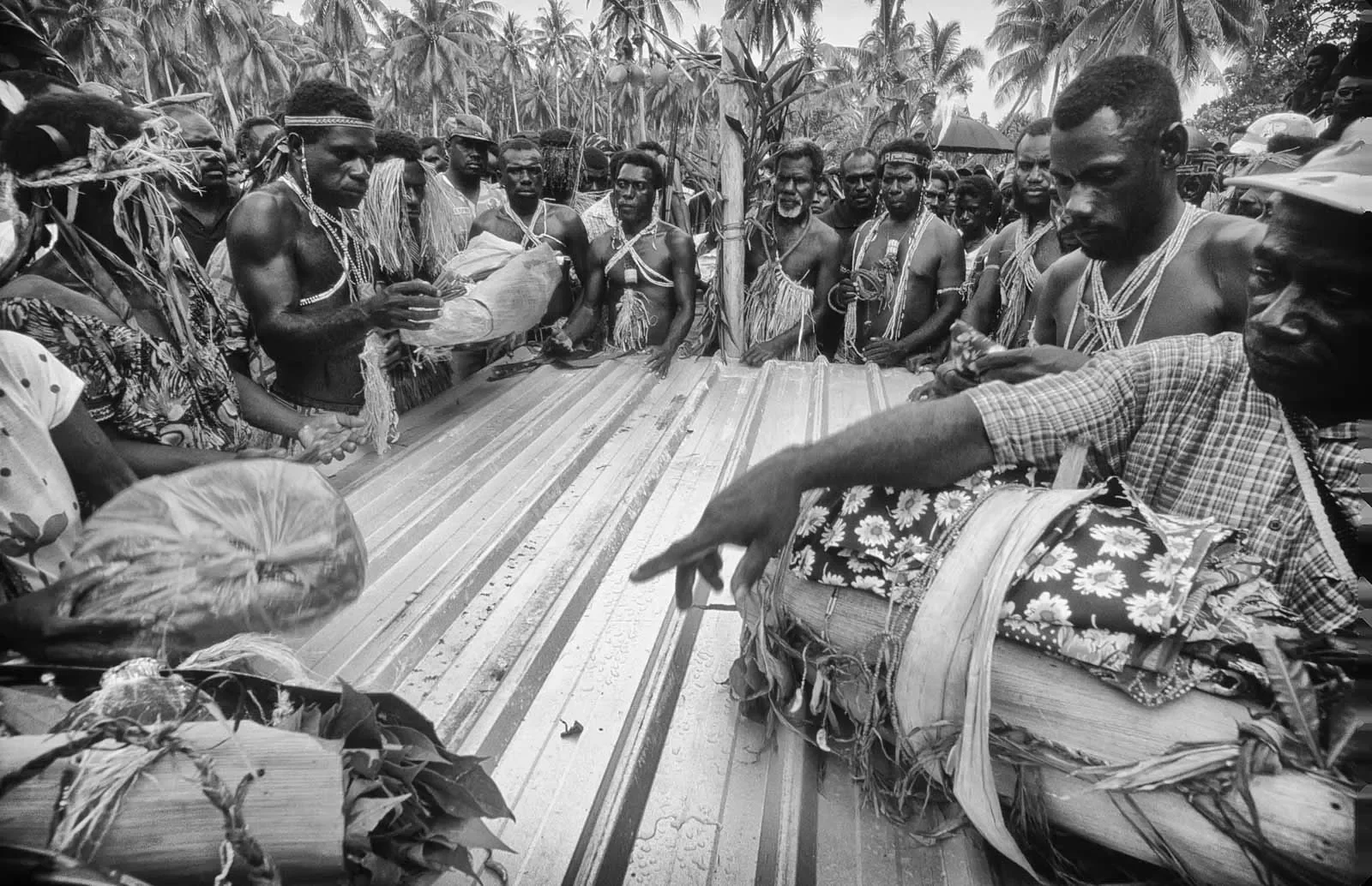 BreakingBowsAndArrows_Bougainville__©LizThompson_7_PS_BW.webp