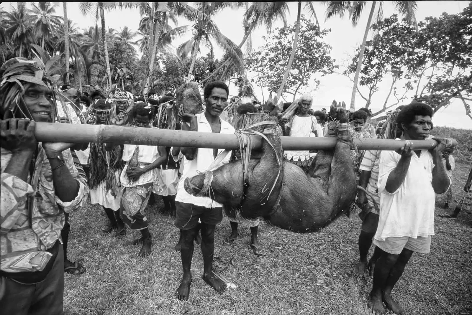 BreakingBowsAndArrows_Bougainville-__©LizThompson_10_BW.webp