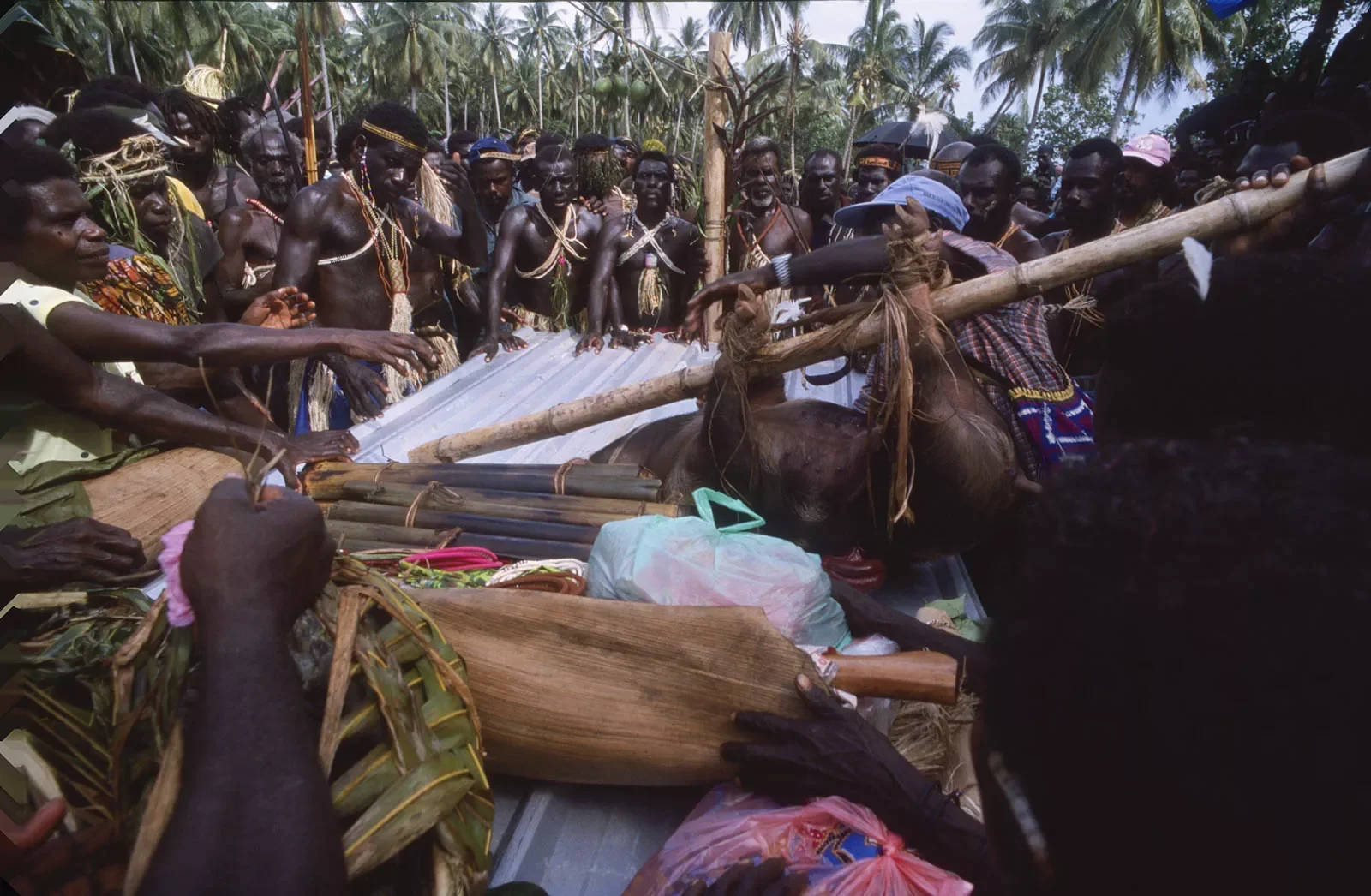 BreakingBowsAndArrows_Bougainville_PNG_MS35mm_26_cropped1.webp