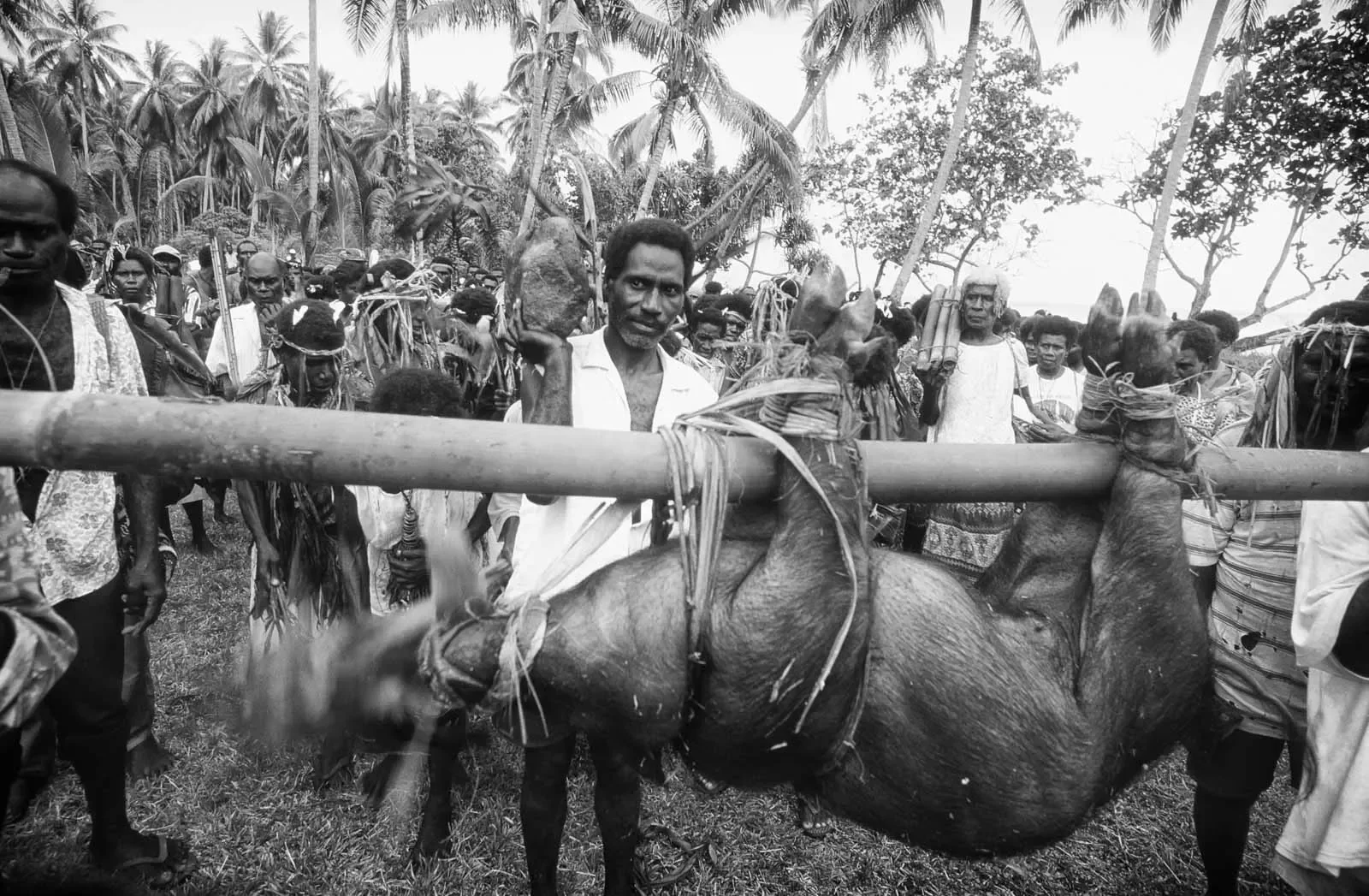 BreakingBowsAndArrows_Bougainville_PNG_MS35mm_28_BW.webp