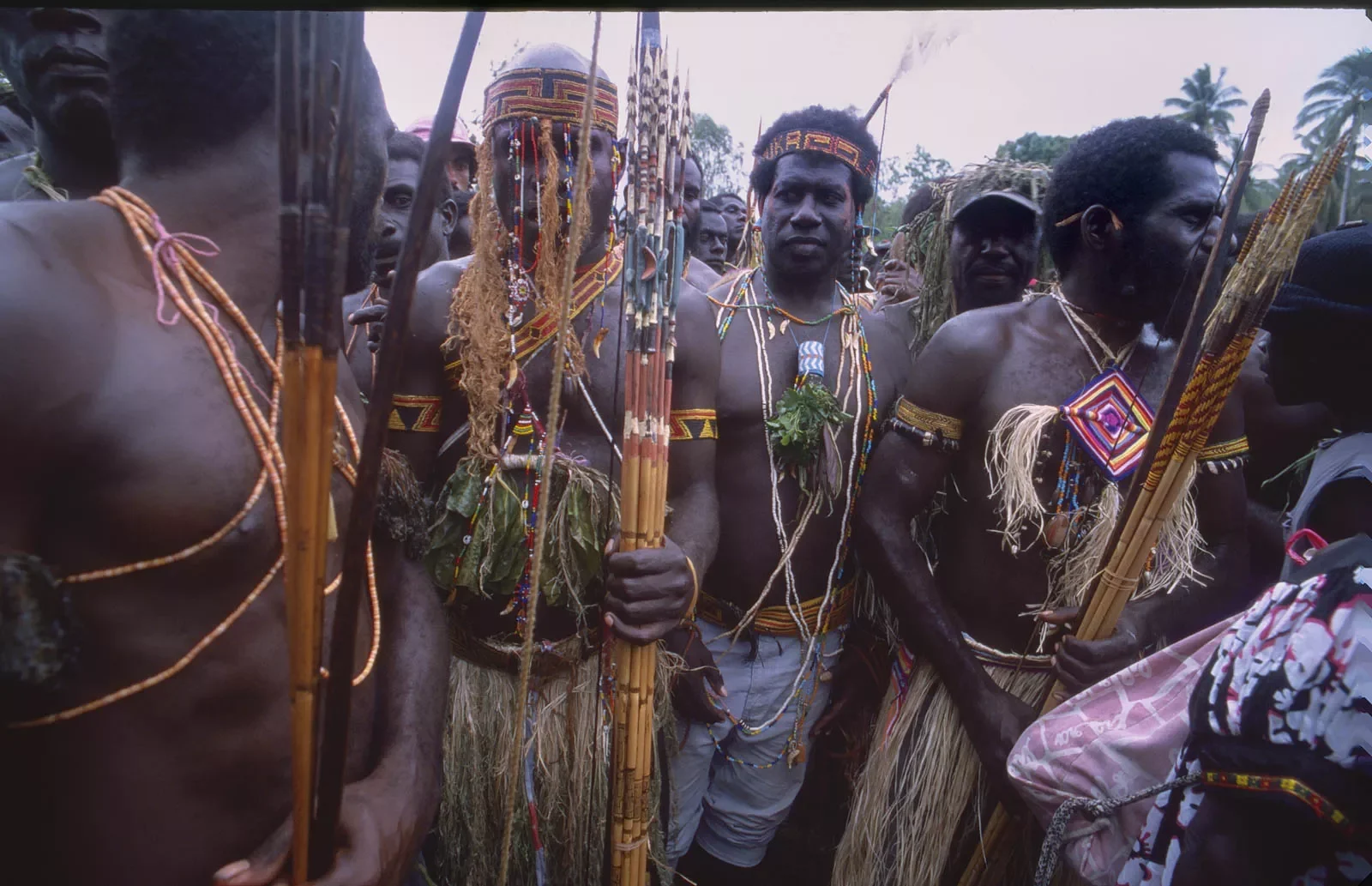 BreakingBowsAndArrows_Bougainville_PNG_MS35mm_34_PS1.webp