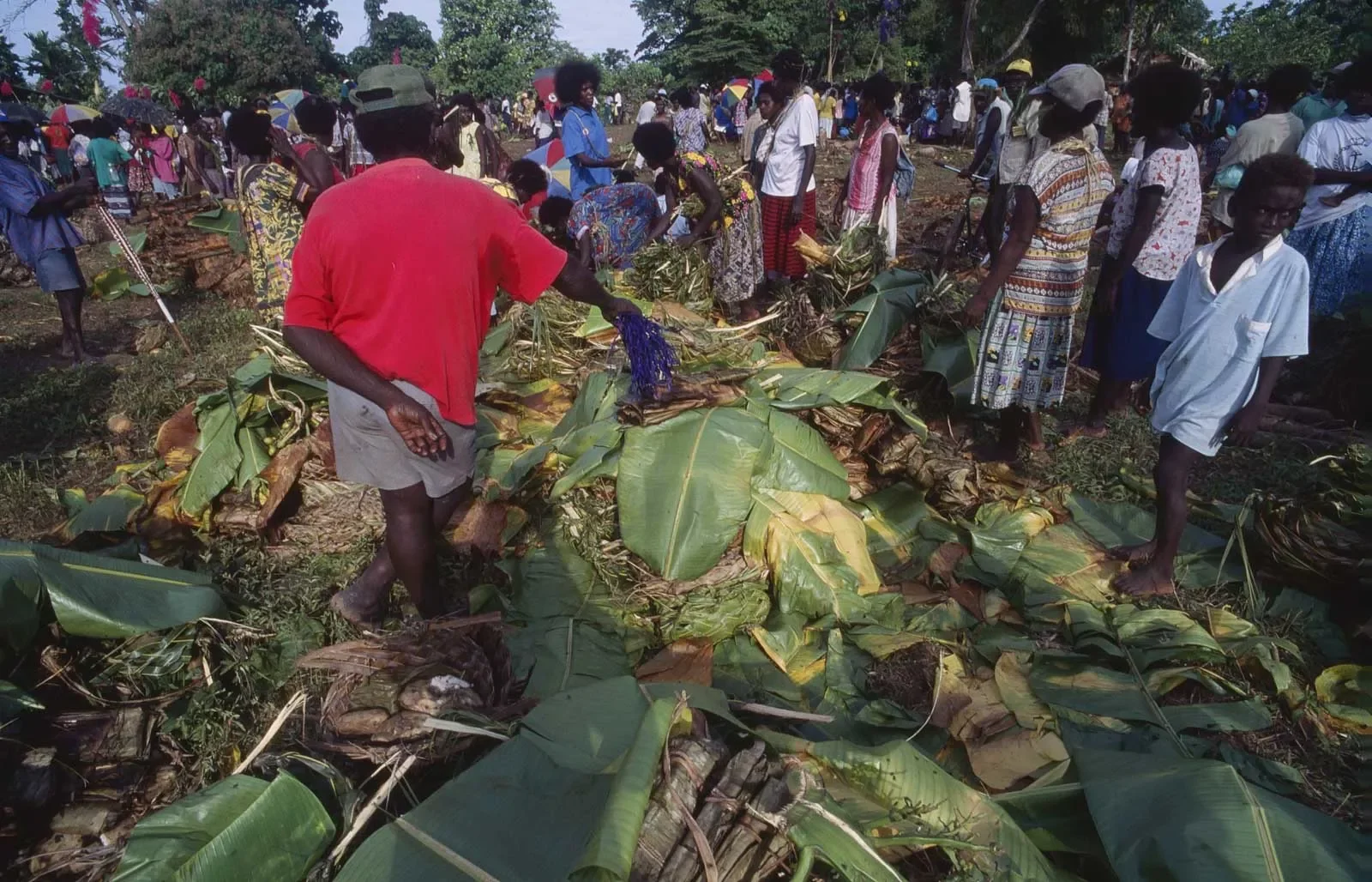BreakingBowsAndArrows_Bougainville_PNG_MS35mm_41.webp
