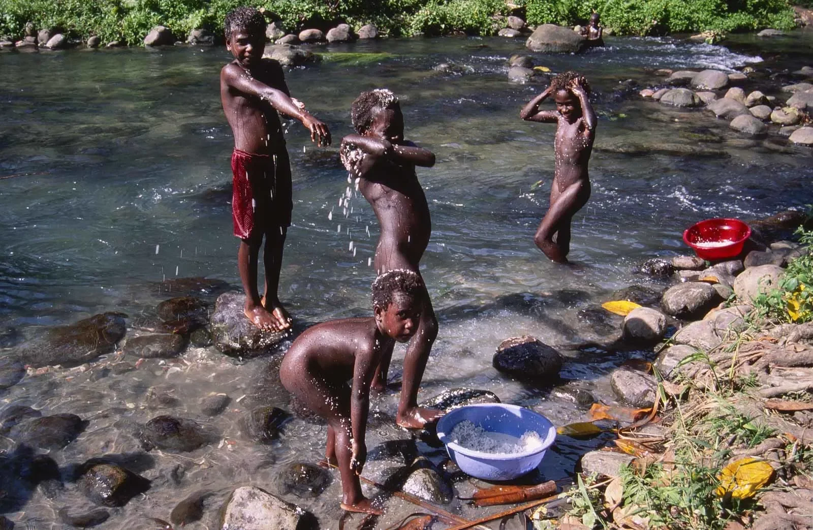 BreakingBowsAndArrows_Bougainville_PNG_MS35mm_53_PS.webp