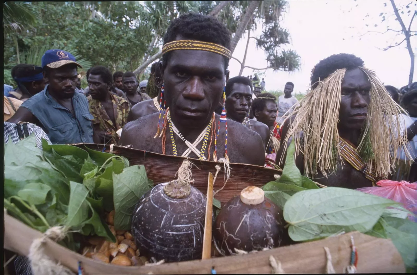 BreakingBowsAndArrows_Bougainville_PNG_MS35mm_59.webp