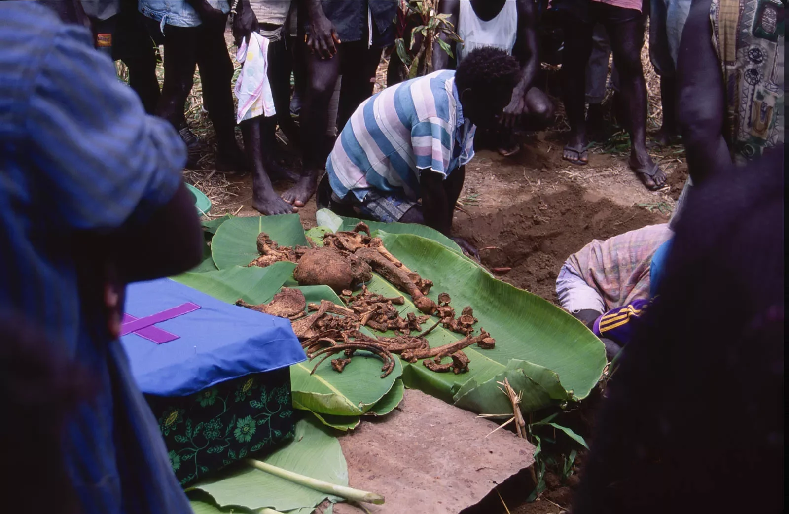BreakingBowsAndArrows_Bougainville_PNG_MS35mm_66-copy.webp