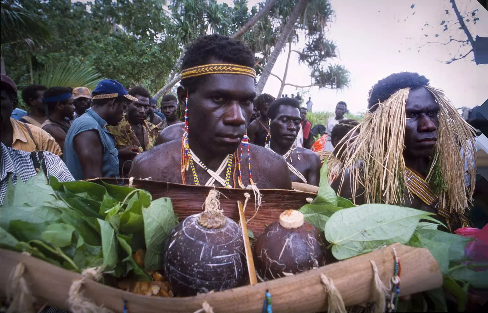 cropped_BreakingBowsAndArrows_Bougainville_PNG_MS35mm_69.webp