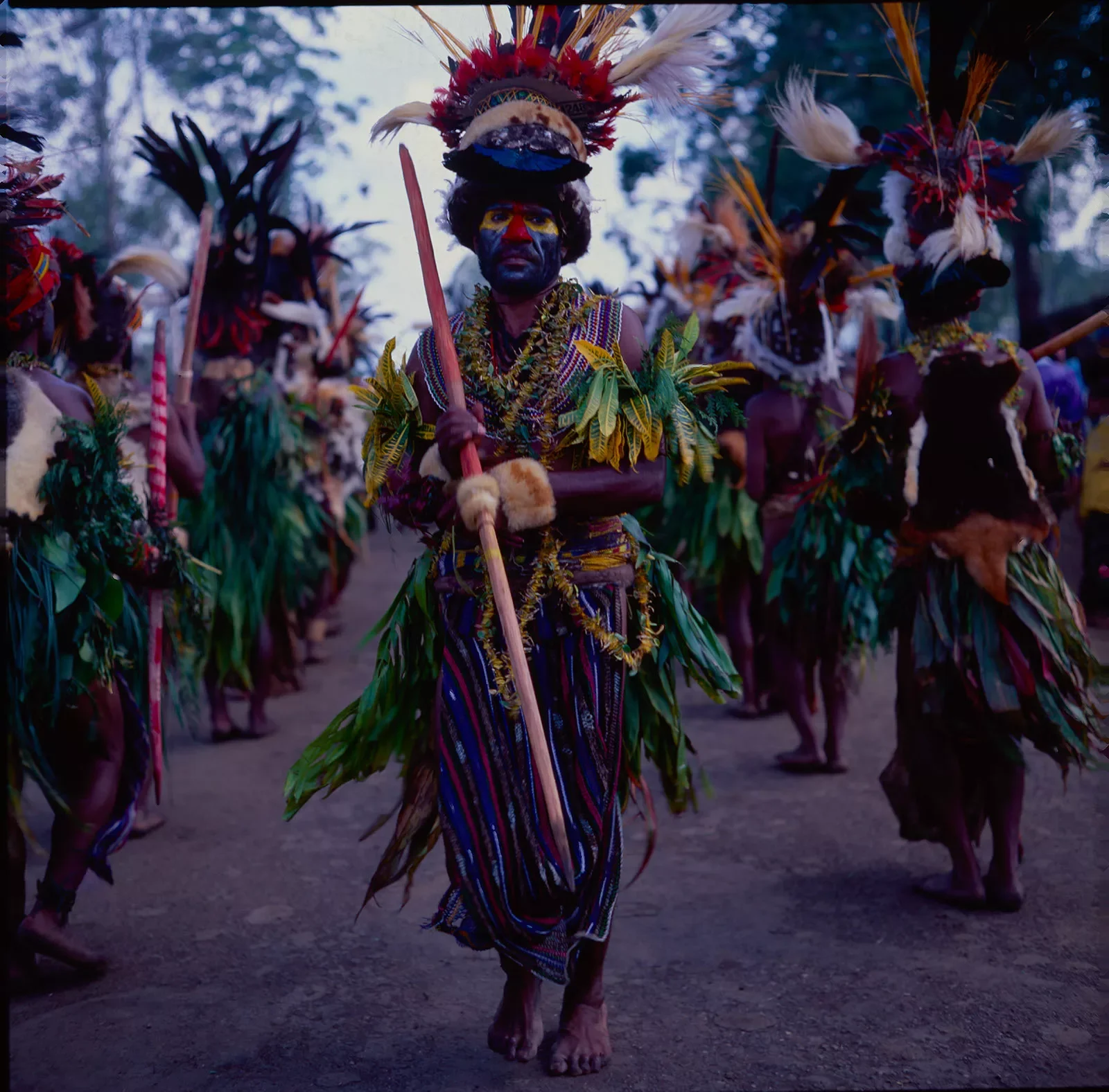 1_GorokaShow_1996_UMLF__©Liz-Thompson_59.webp