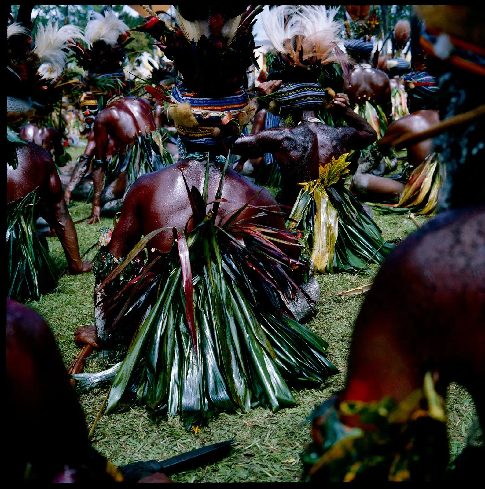 GorokaShow_1996_MountedLF__©Liz-Thompson_34.webp