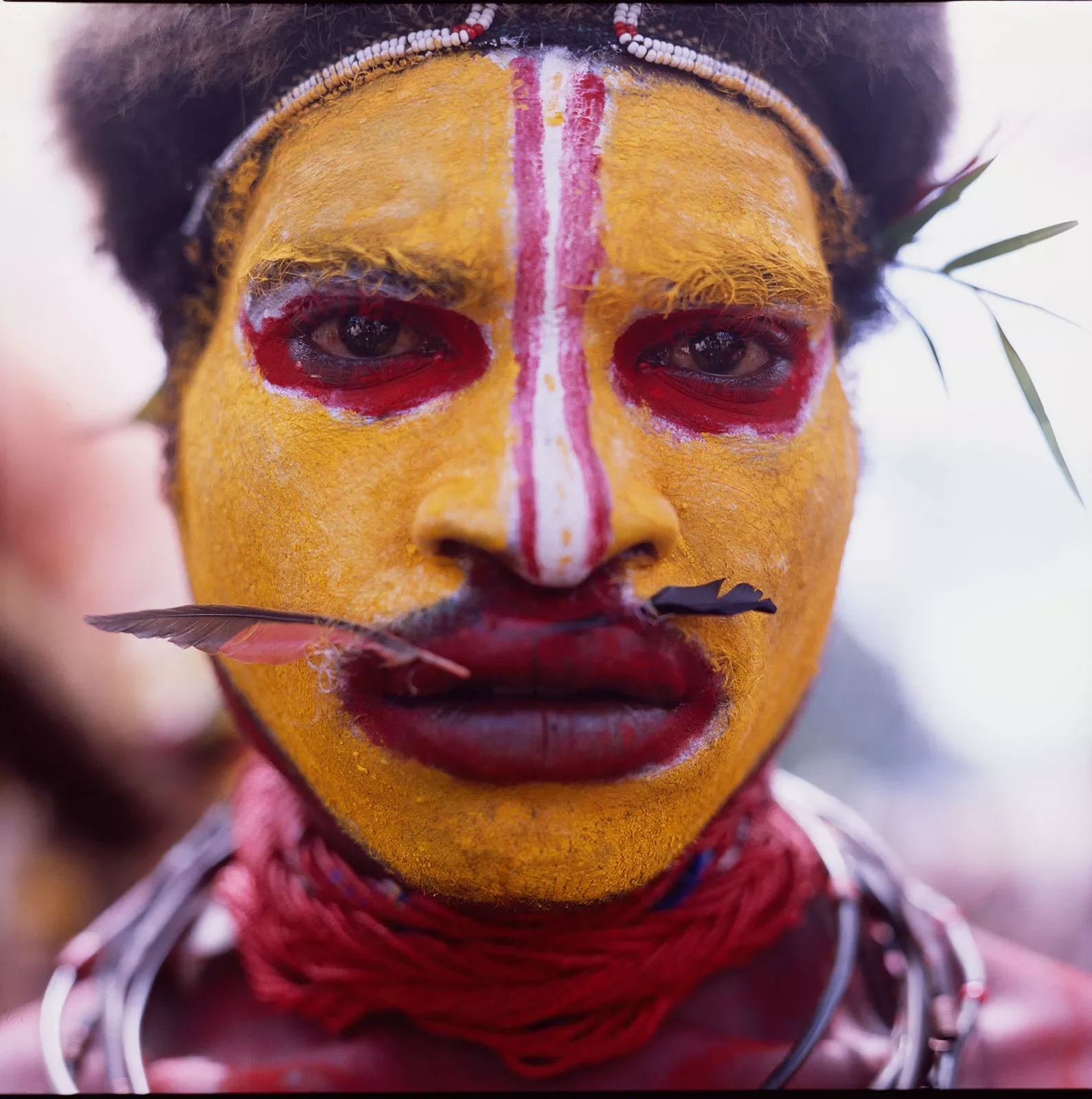 GorokaShow_PNG_1990_134.webp