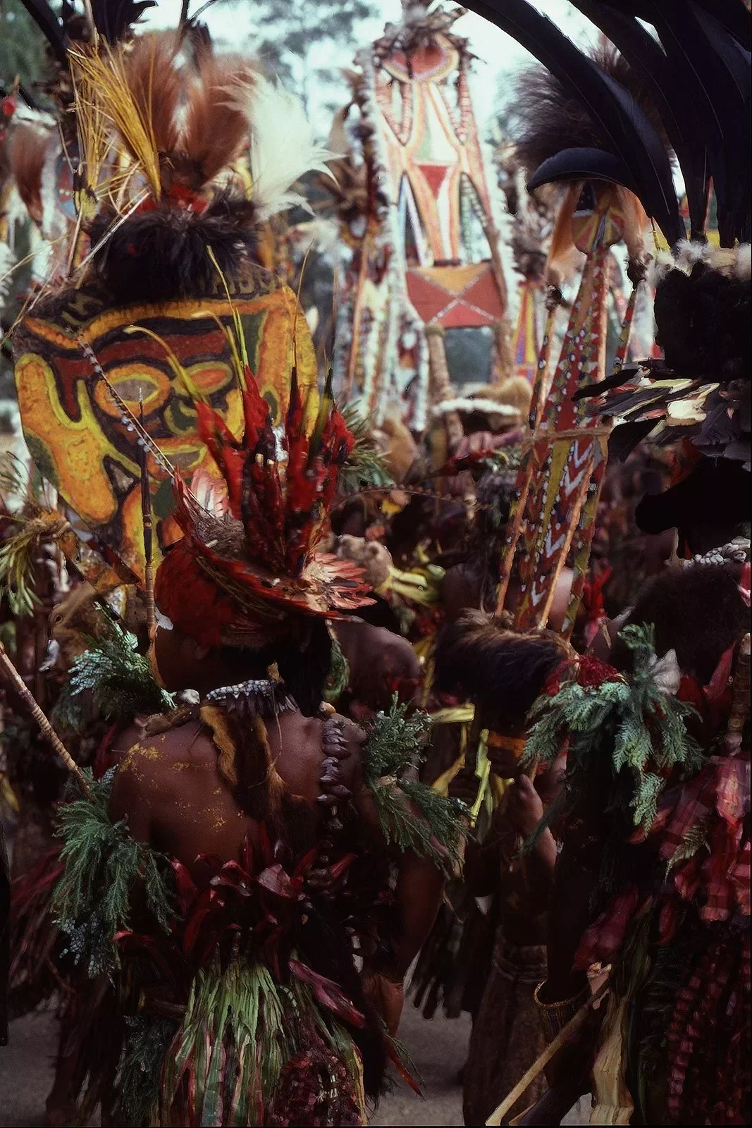 Goroka Show 1984-1996_©Liz Thompson_205.webp