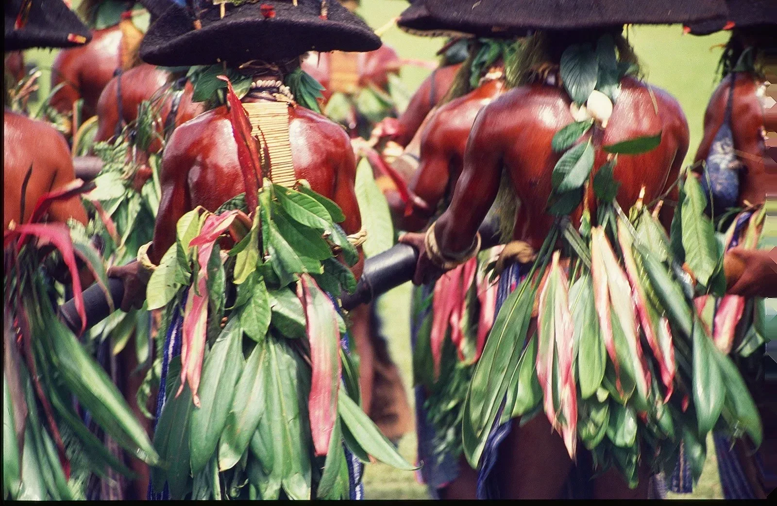Goroka_Show_1984-1996_MS35mm_©LizThompson_598.webp