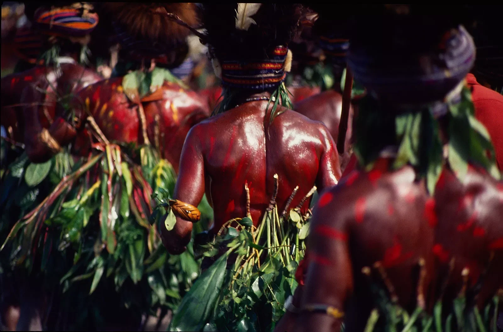 1_Goroka_Show_1984-1996_MS35mm_©LizThompson_602.webp