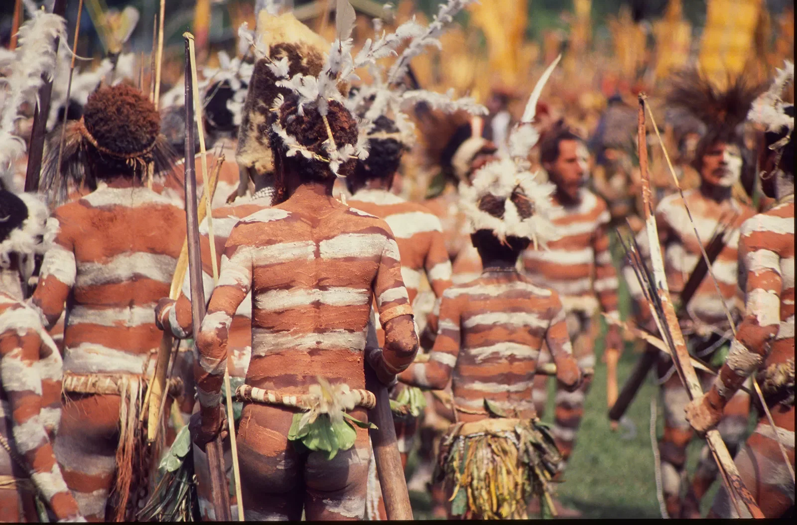 1_Goroka-Show-1984-1996_©Liz-Thompson_091.webp