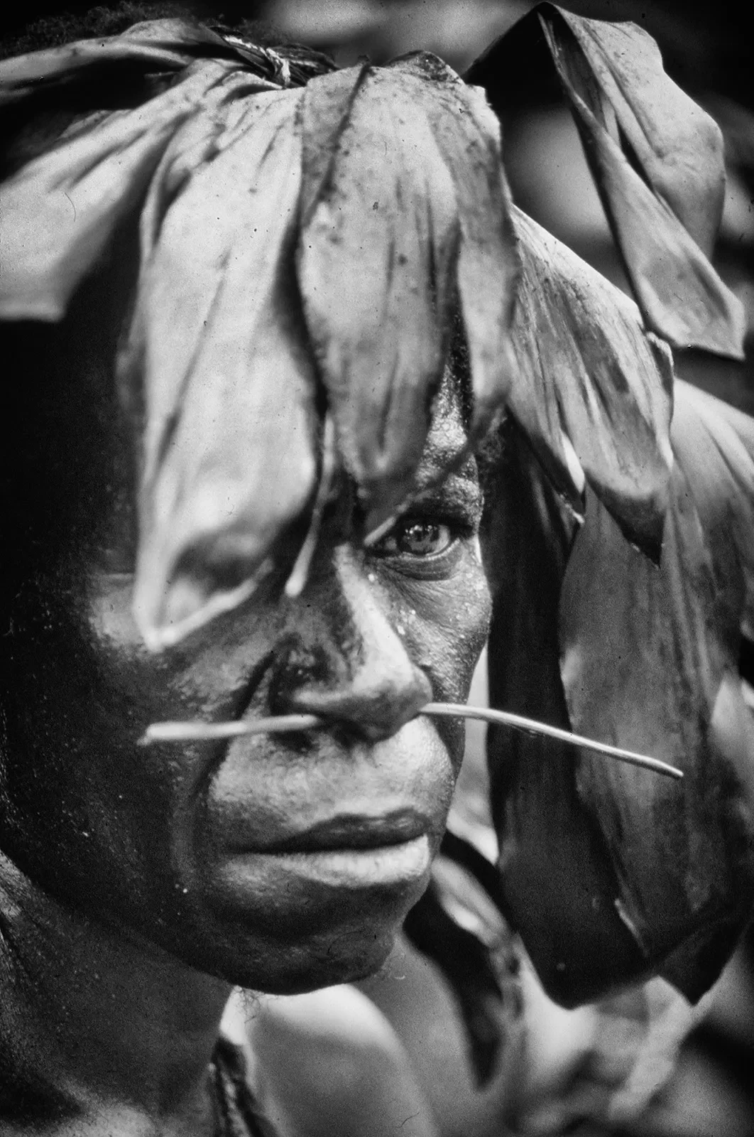 2_Goroka-Show-1984-1996_©Liz-Thompson_207bw.webp
